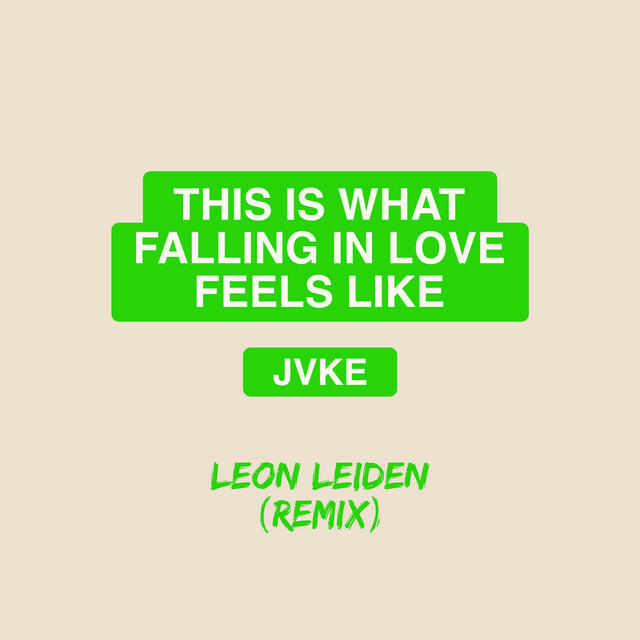Релиз this is what falling in love feels like (Leon Leiden Remix)