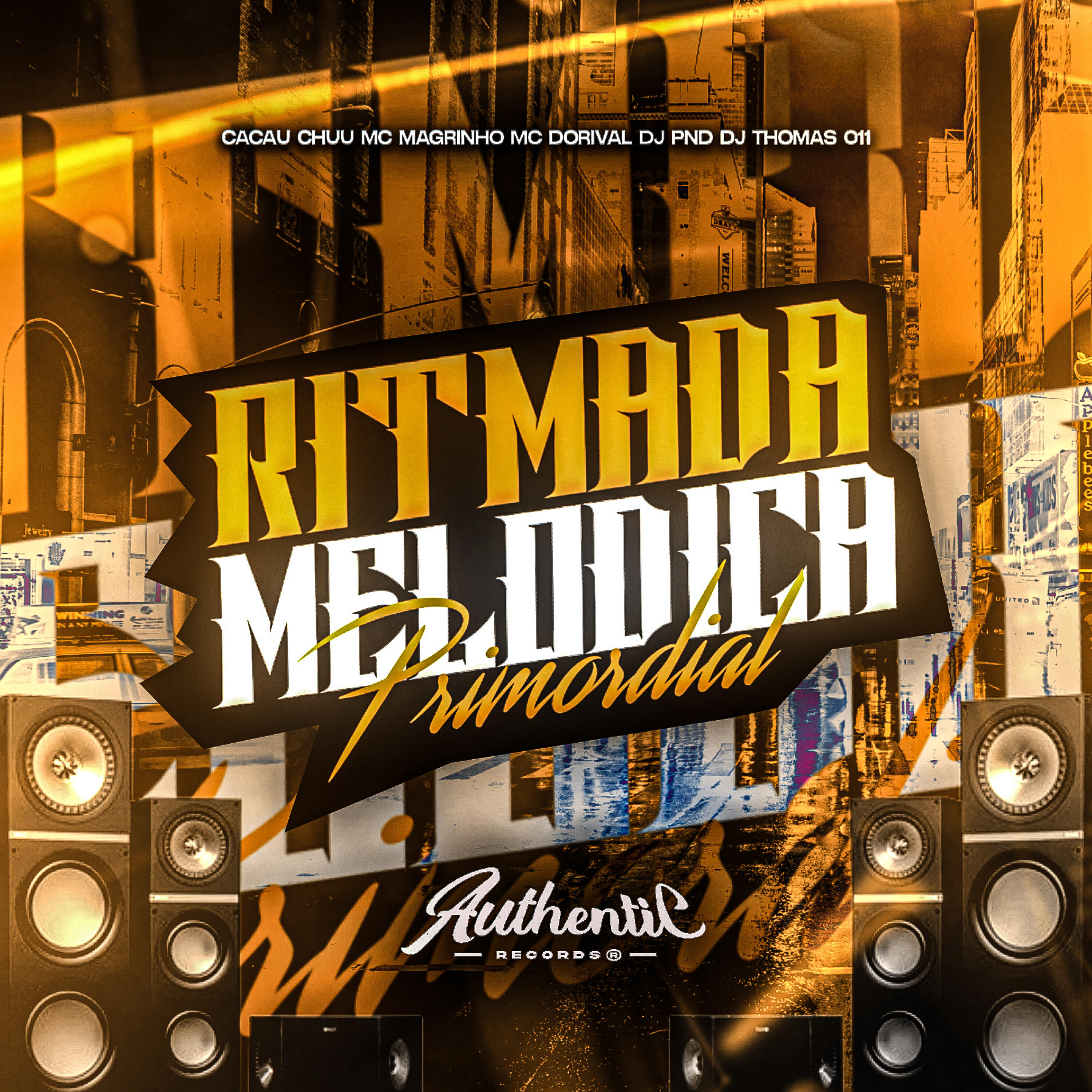 Скачать песню DJ THOMAS 011, DJ PND, Mc Magrinho, Cacau Chuu, MC Dorival - Ritmada Melodica Primordial бесплатно в MP3 для Android и iOS