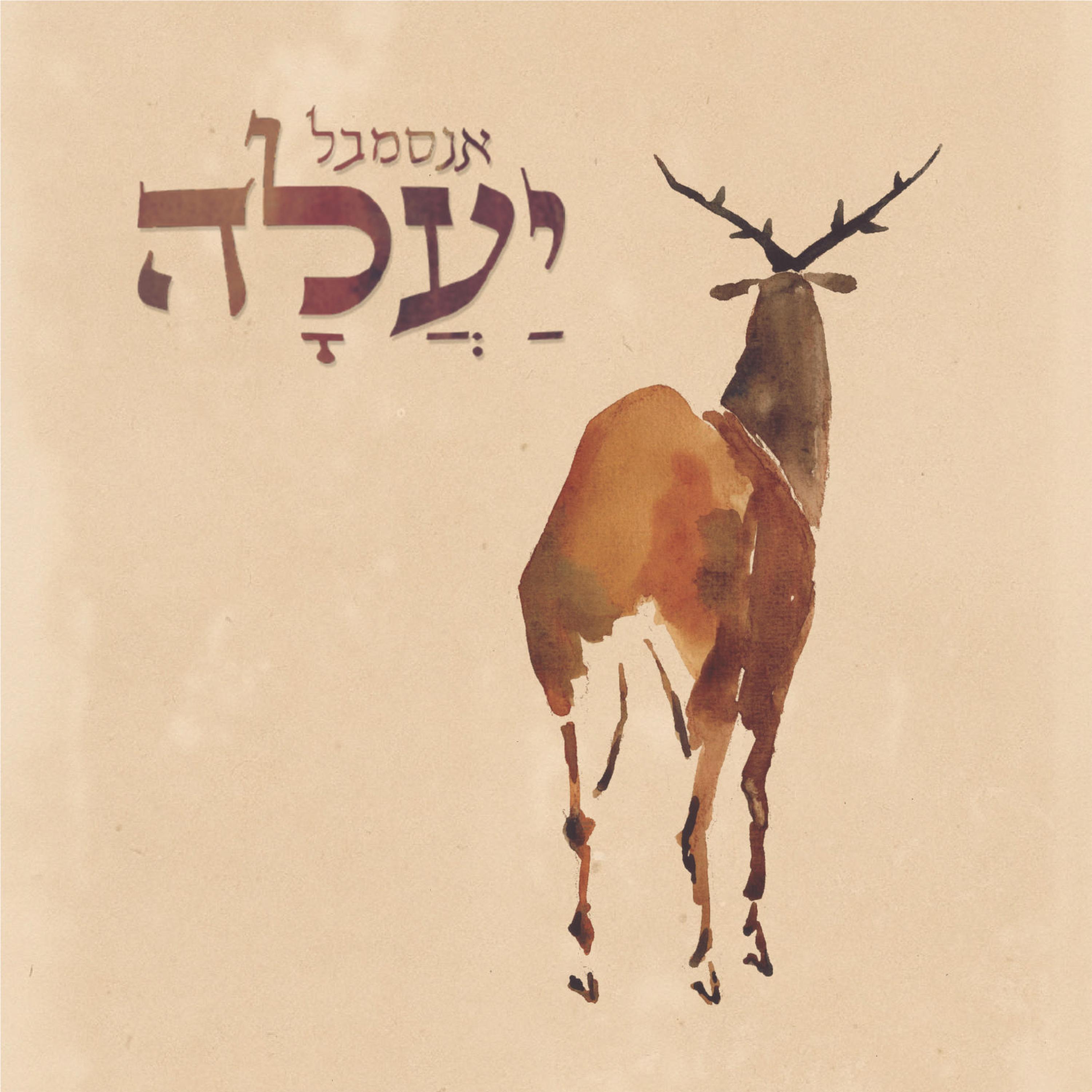Meron Gelbard