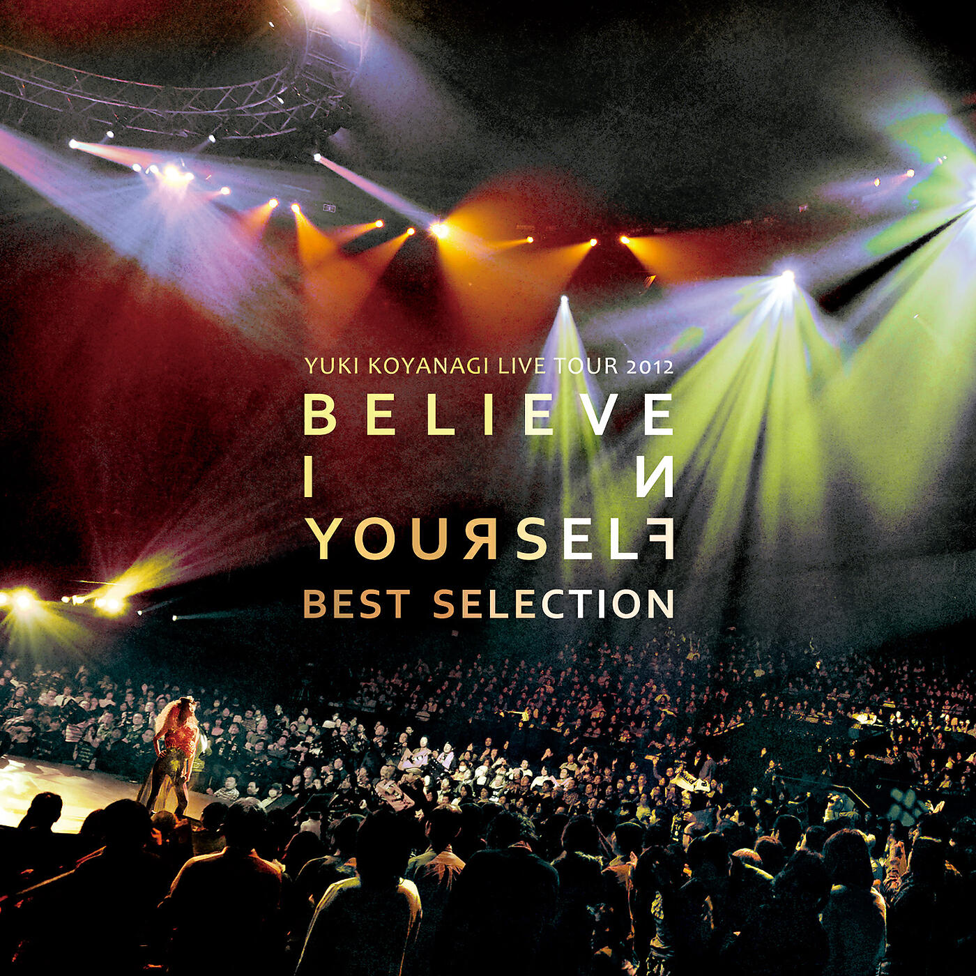 Релиз Yuki Koyanagi Live Tour 2012 "Believe In Yourself" Best Selection