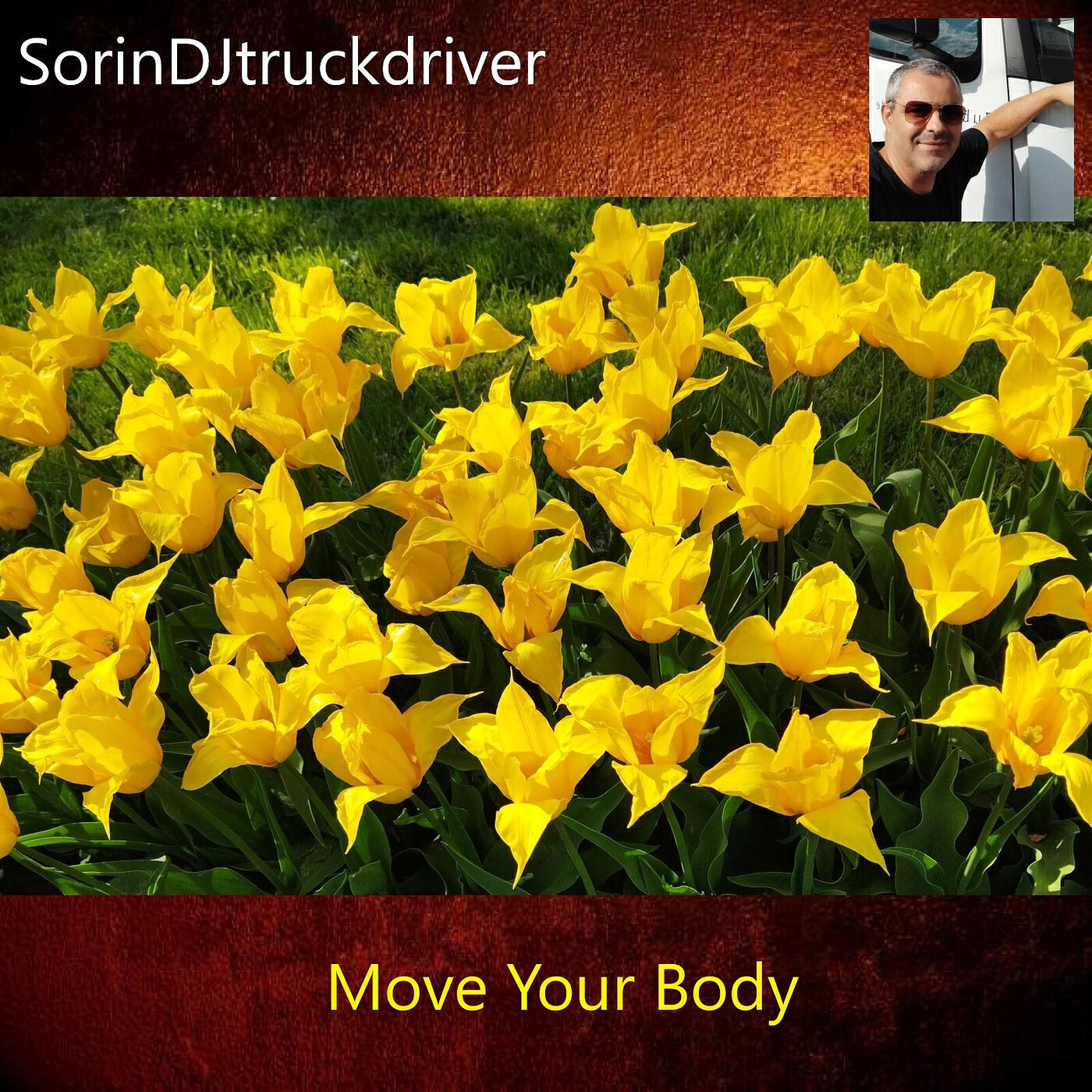 Релиз Move Your Body