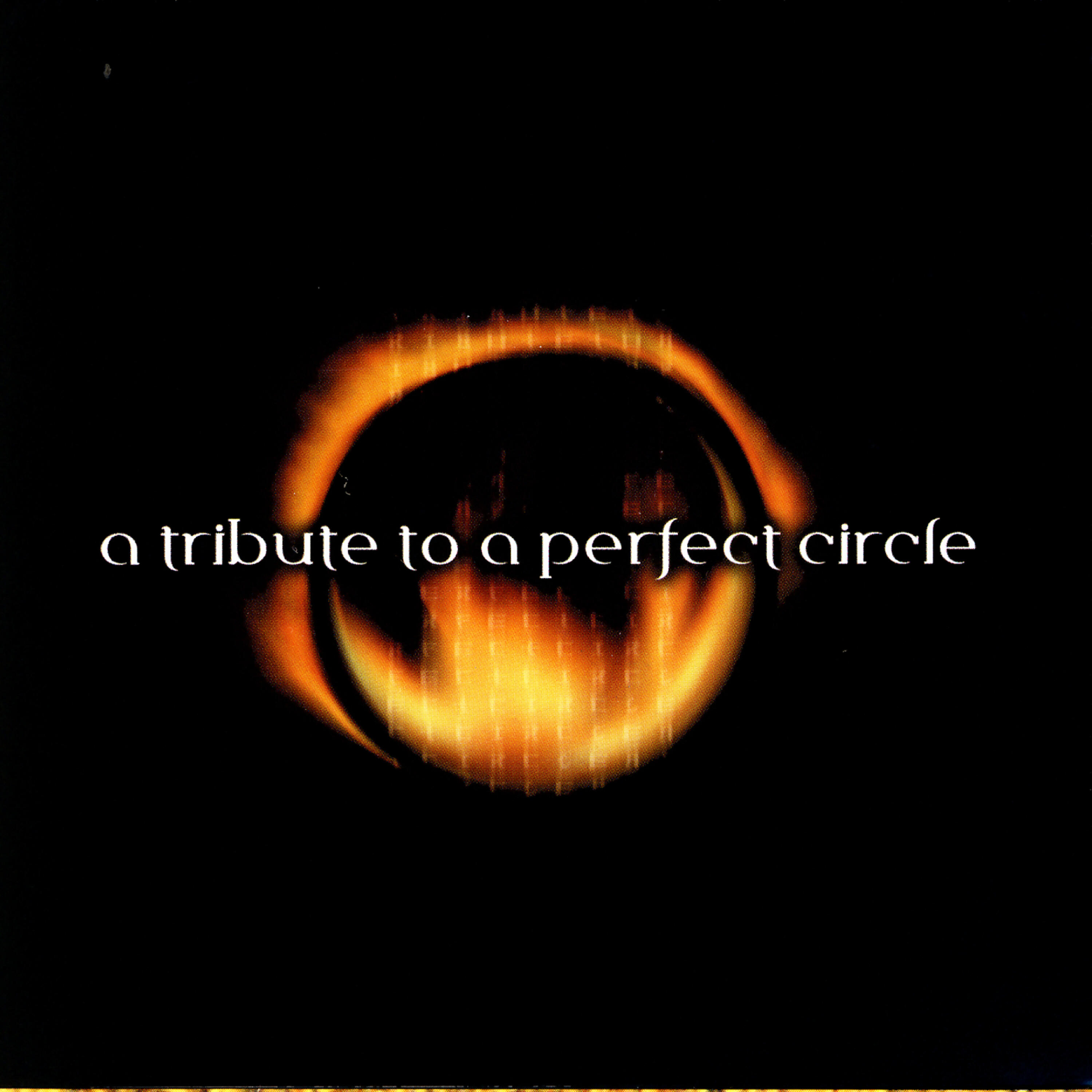 Релиз A Tribute To A Perfect Circle