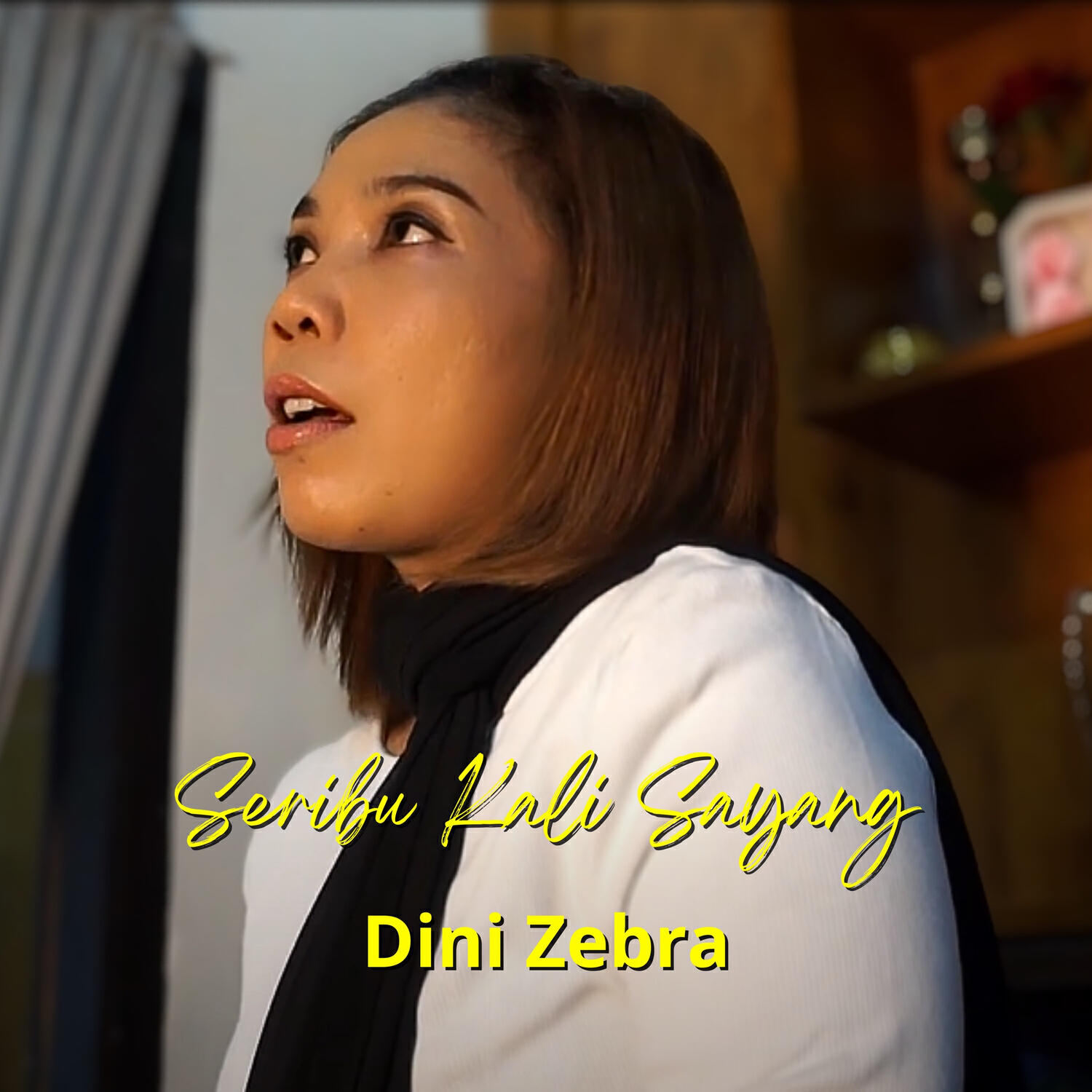 Dini Zebra