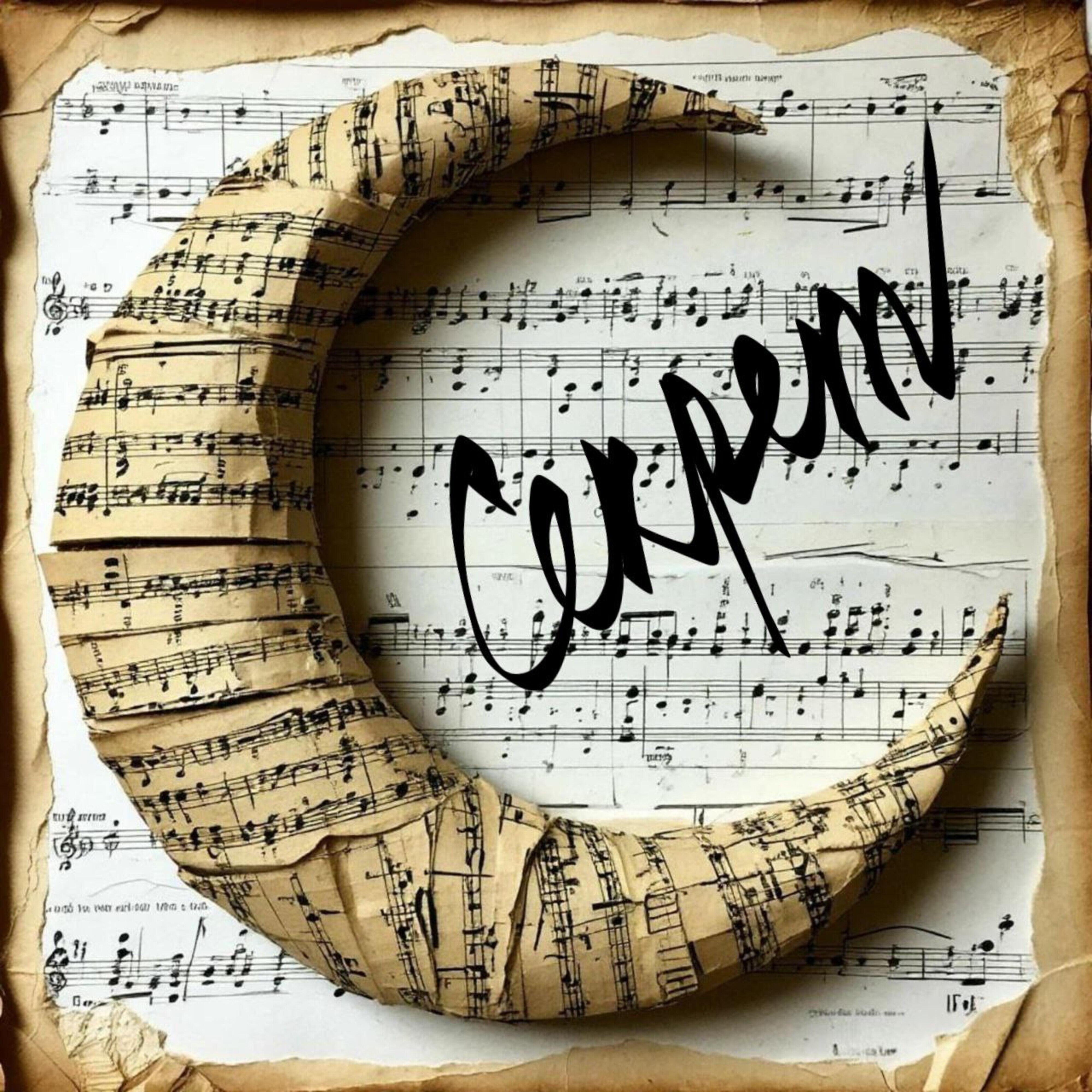 Светлана Шебеко