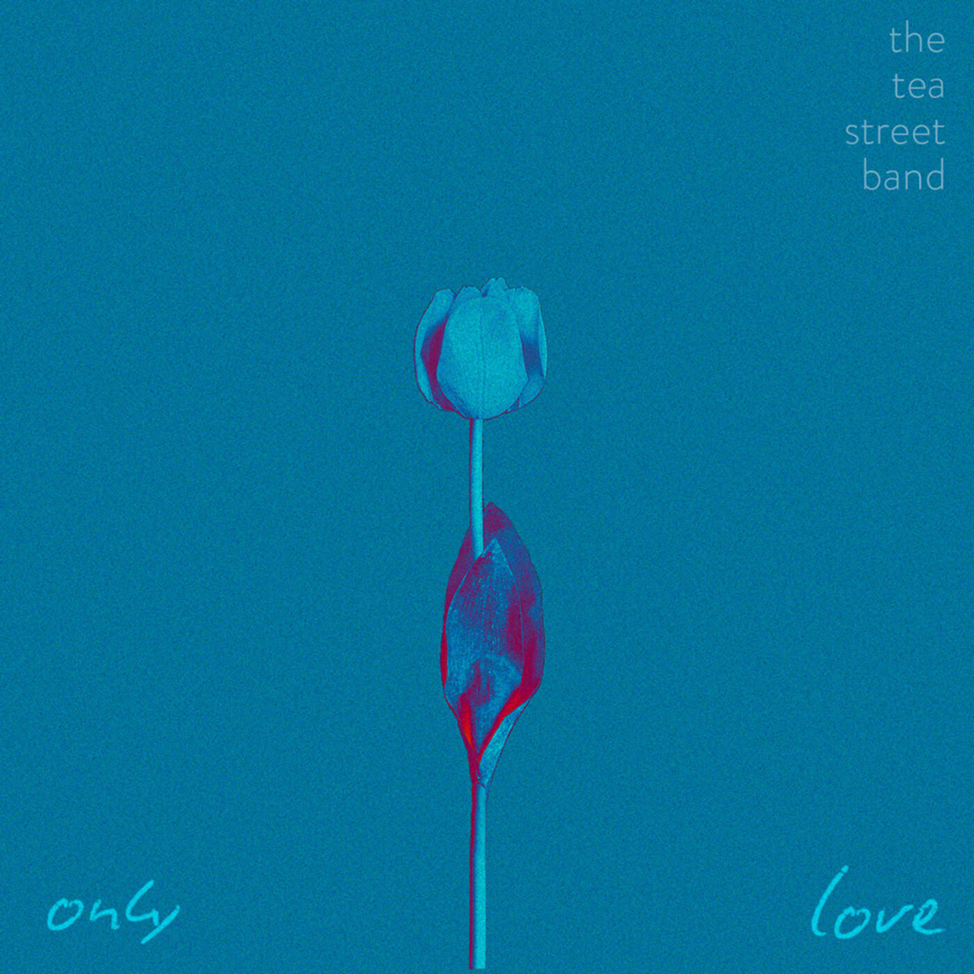 Релиз Only Love
