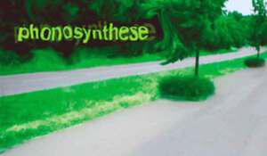 Phonosynthese