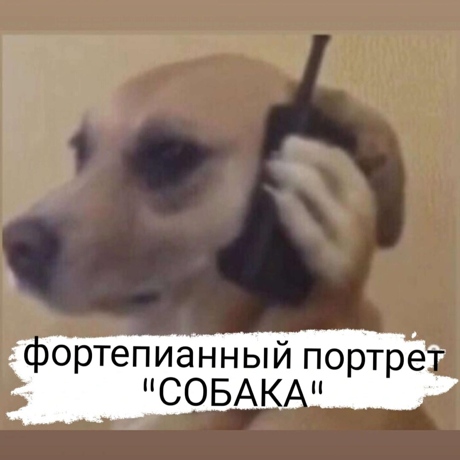 КСЕНЯ ЯСНЮК