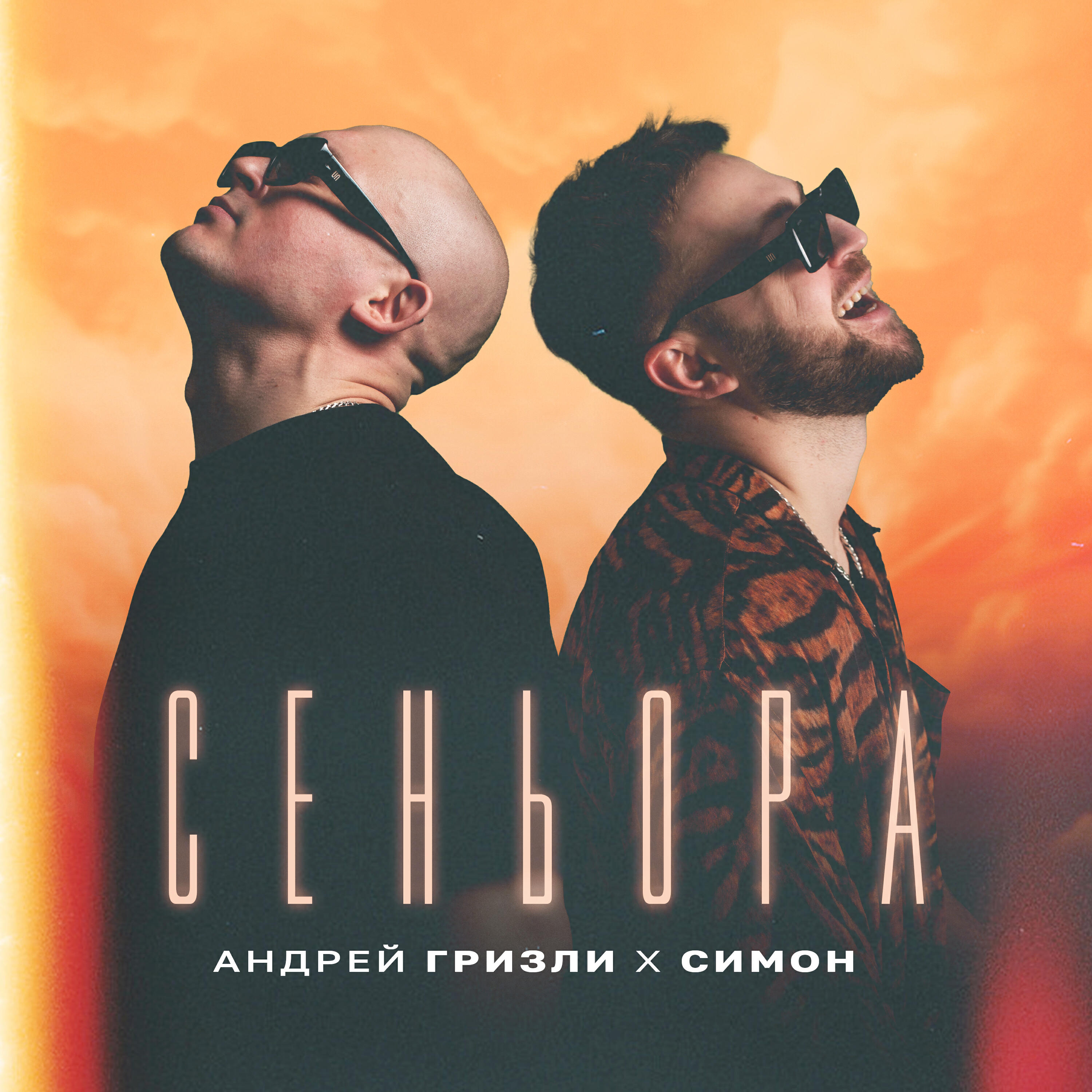 Релиз Сеньора