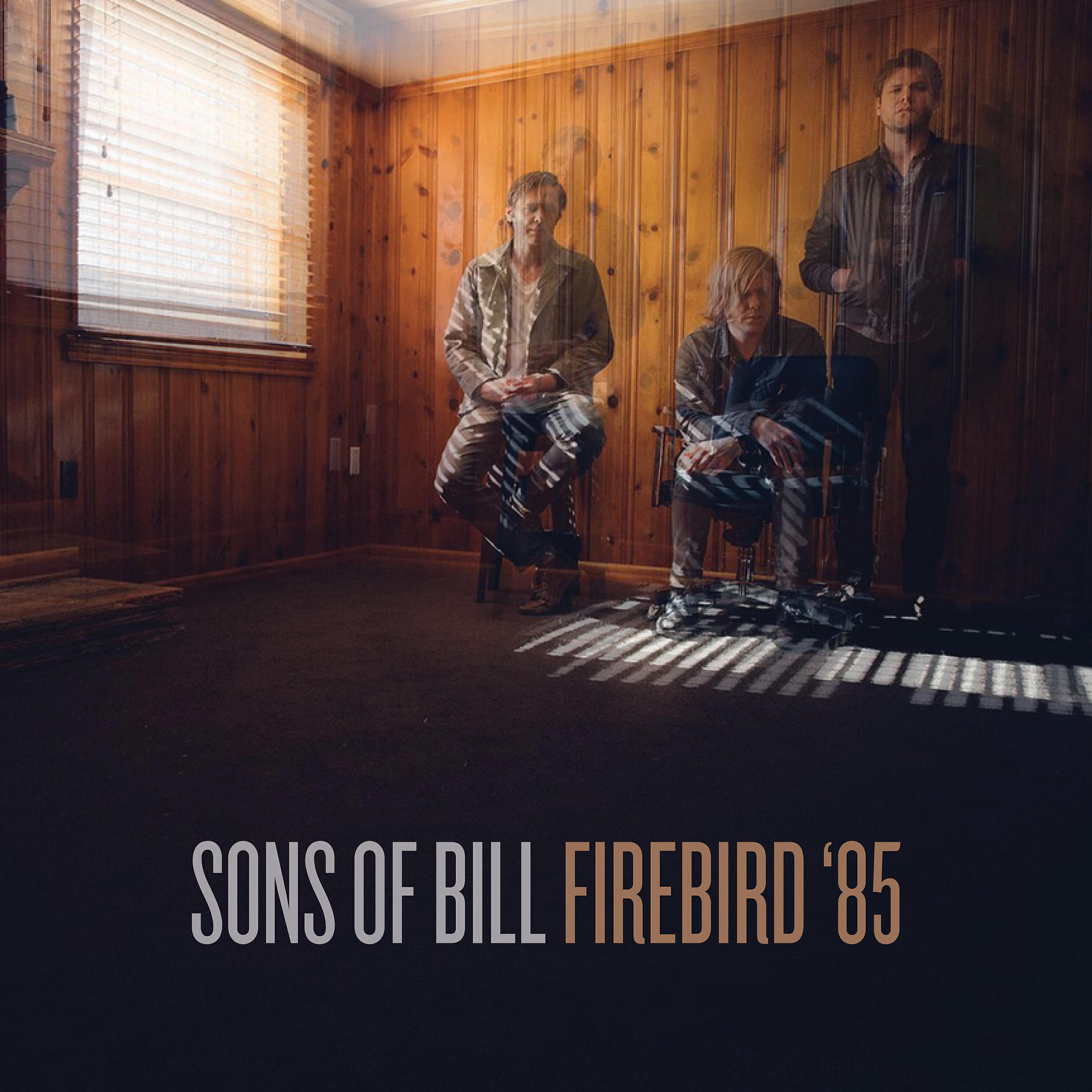 Релиз Firebird '85