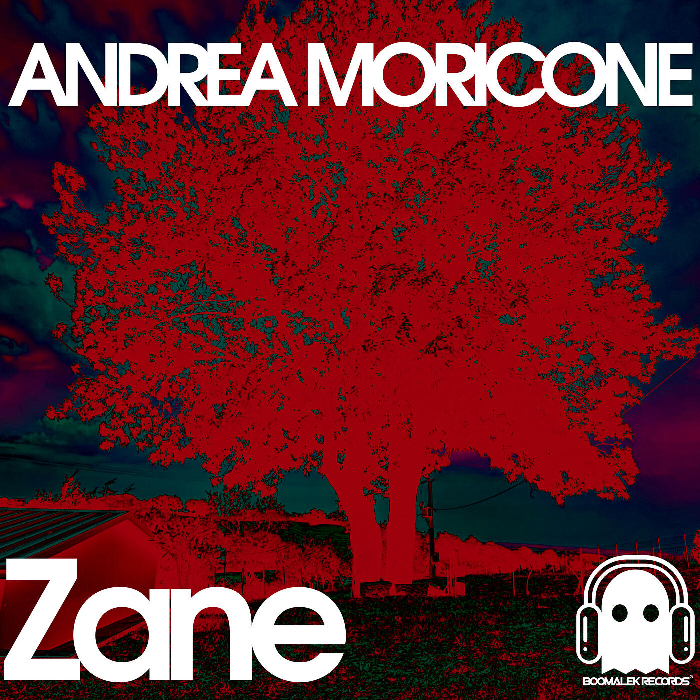 Релиз Zane