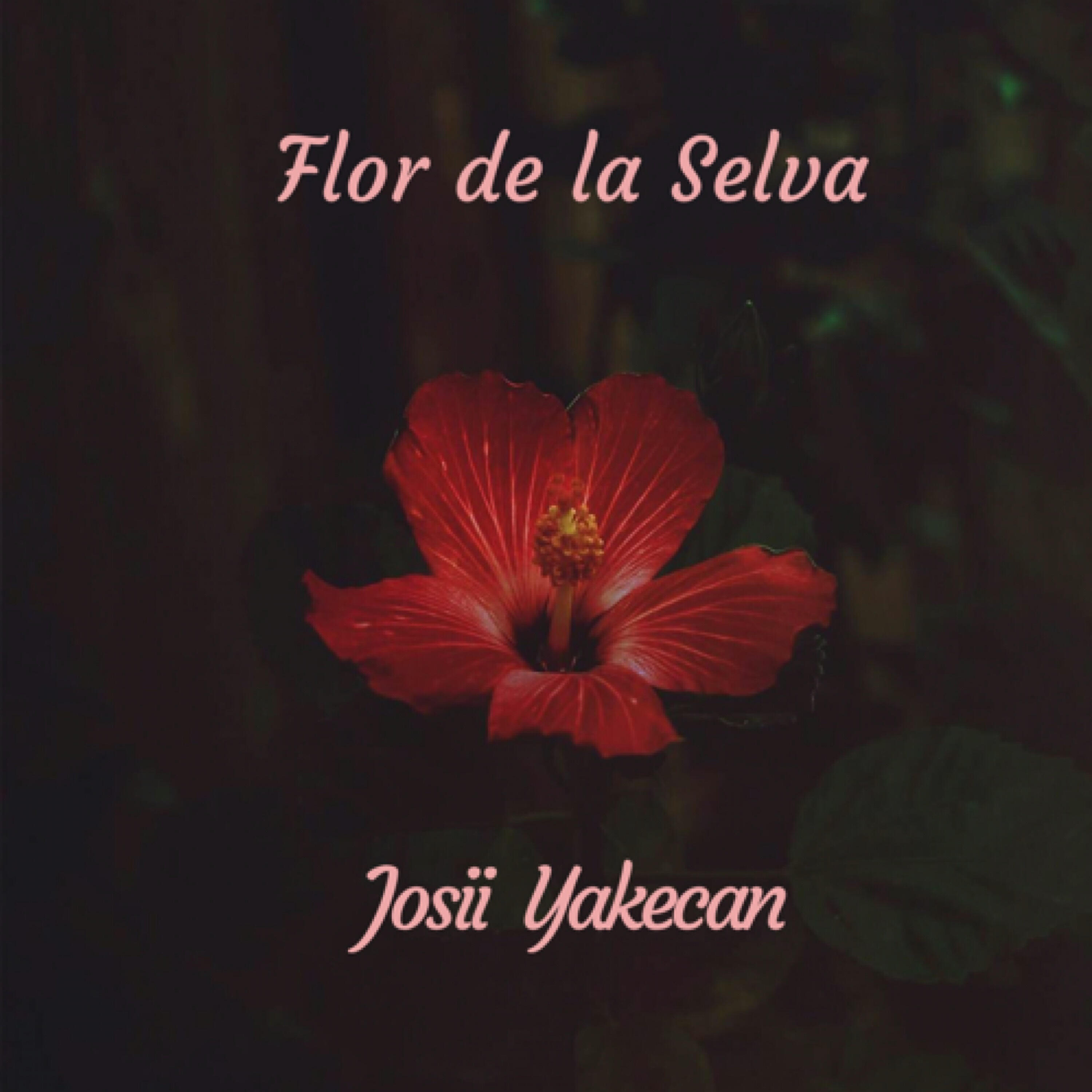Релиз Flor de la Selva