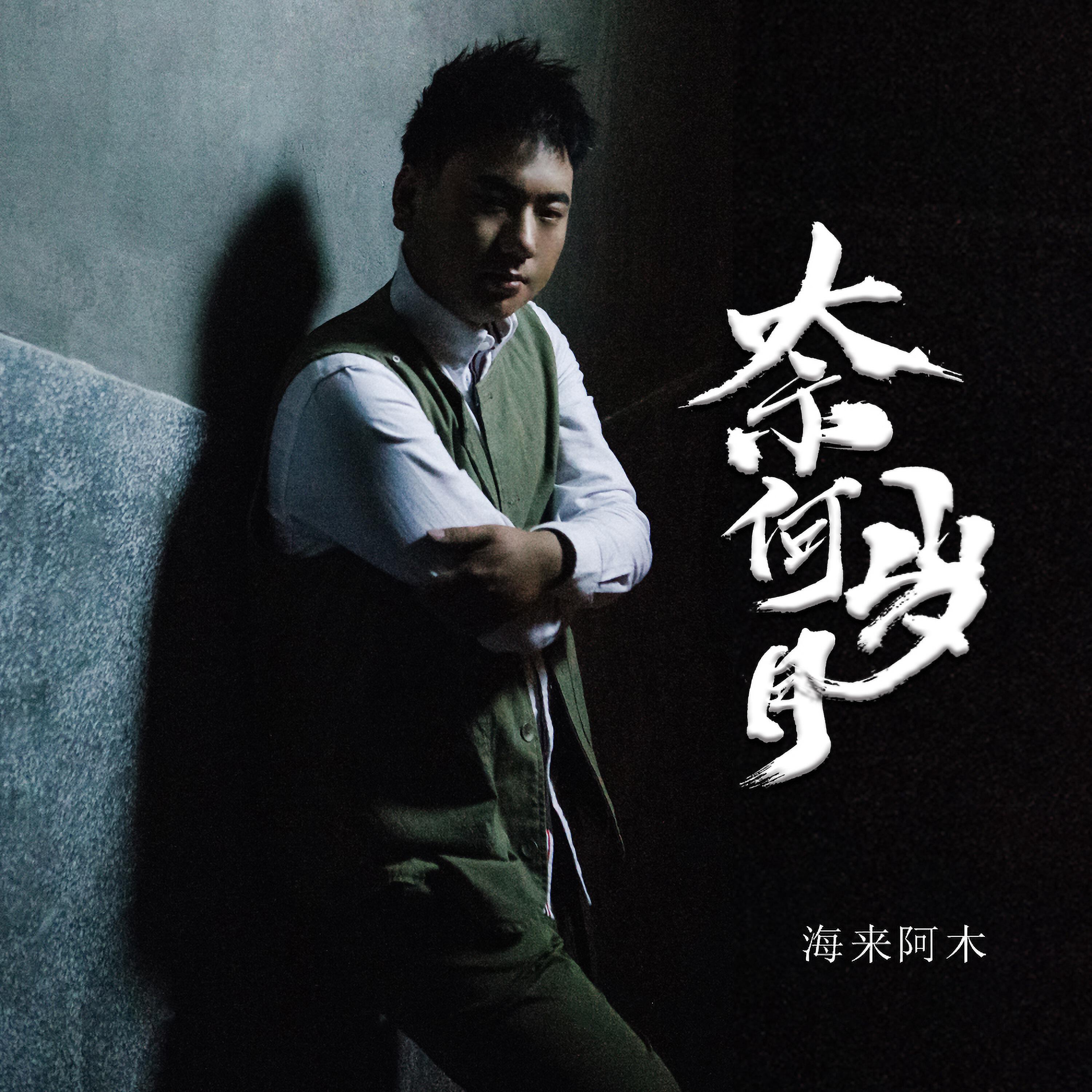 Релиз 奈何岁月