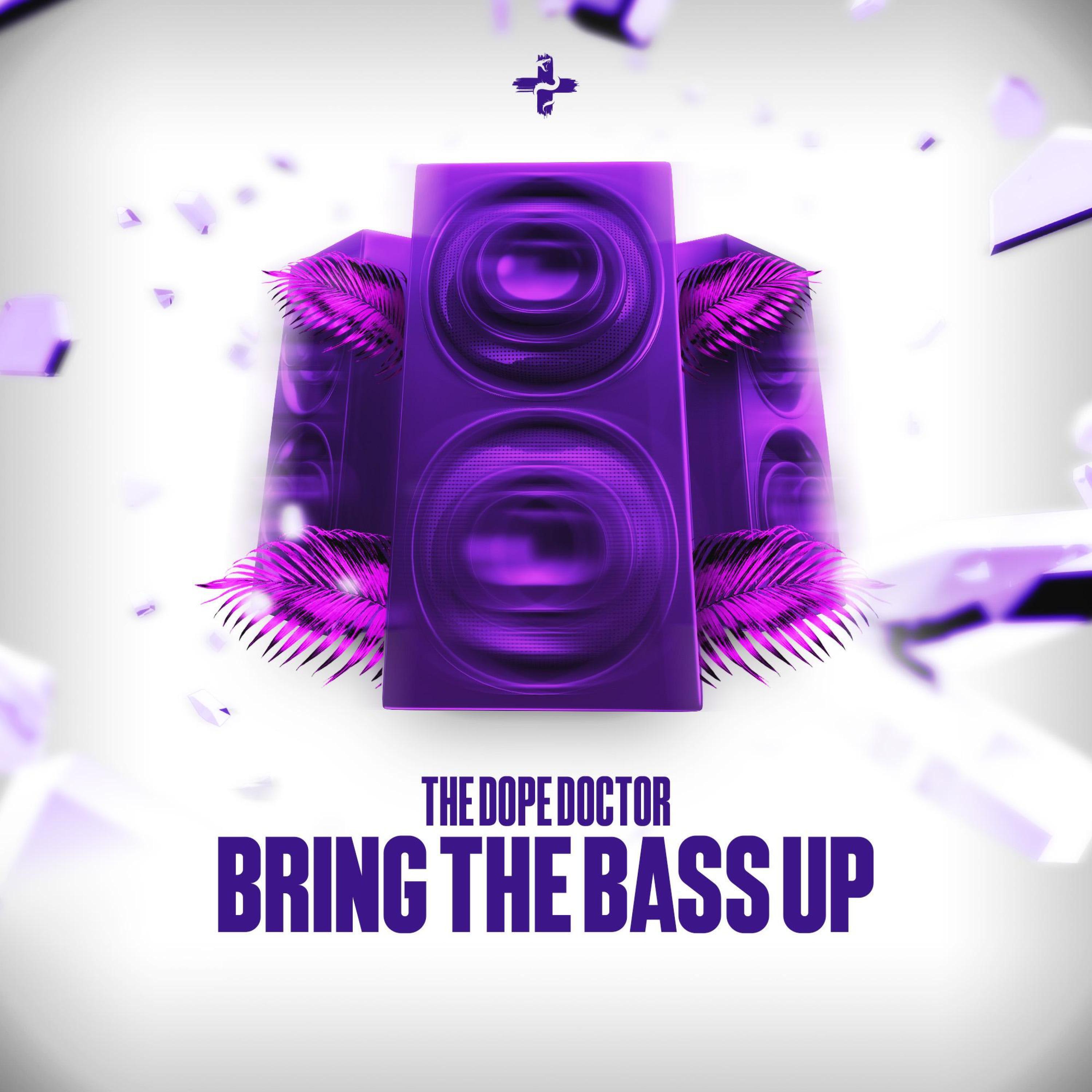 Релиз Bring The Bass Up