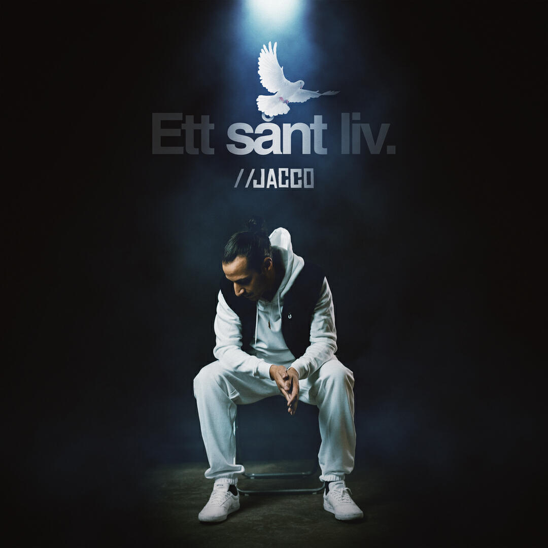 Релиз Ett sånt liv