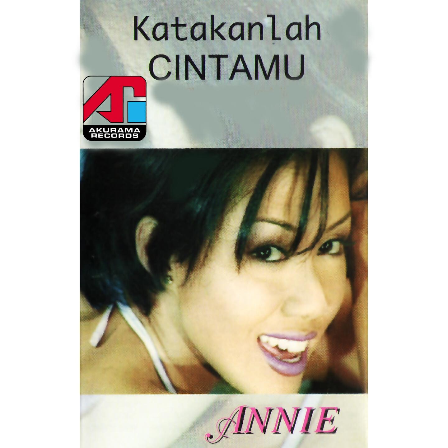 Постер альбома Katakanlah Cintamu