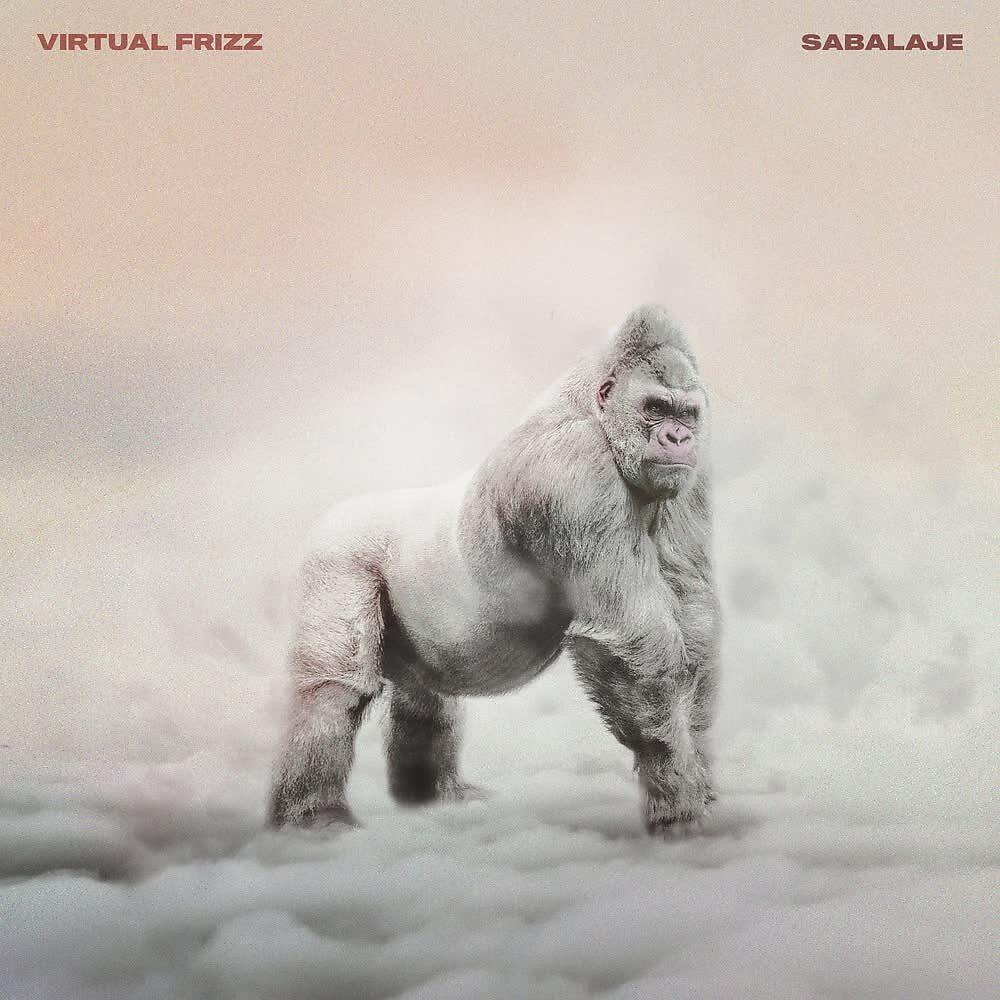 Virtual Frizz