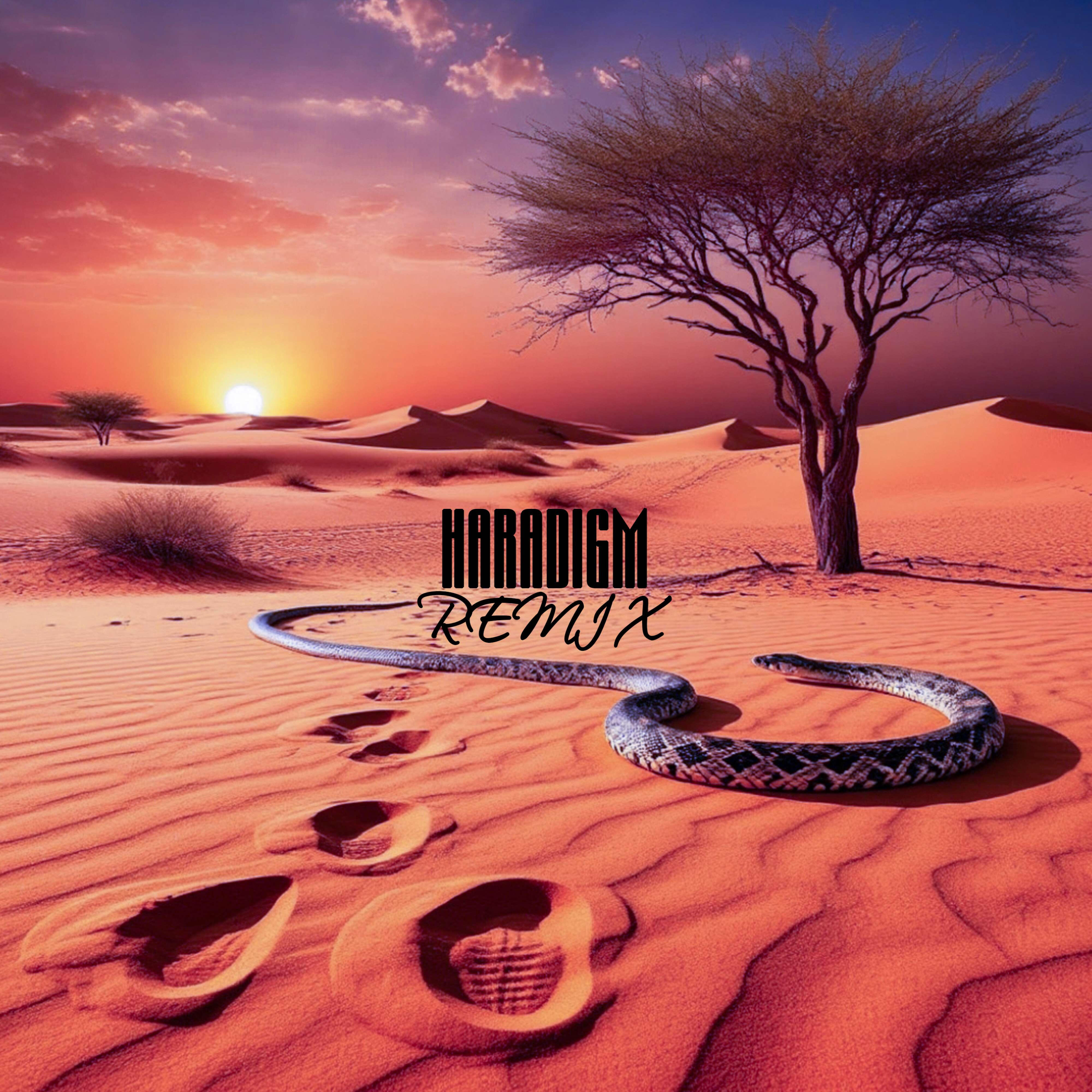 Постер альбома Desert Remix