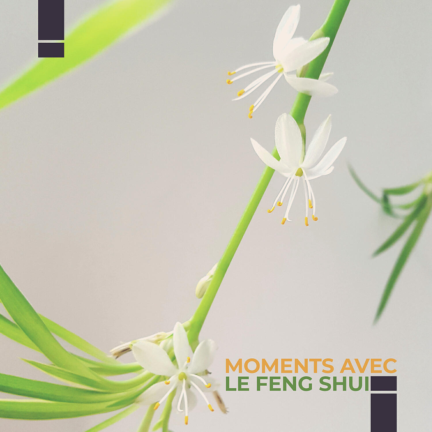 Релиз Moments avec le Feng Shui