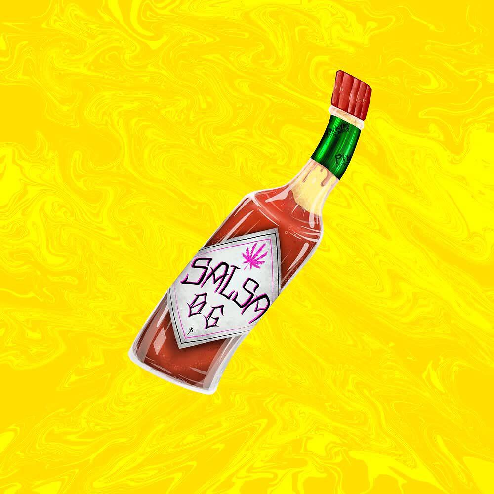 Релиз Salsa 06