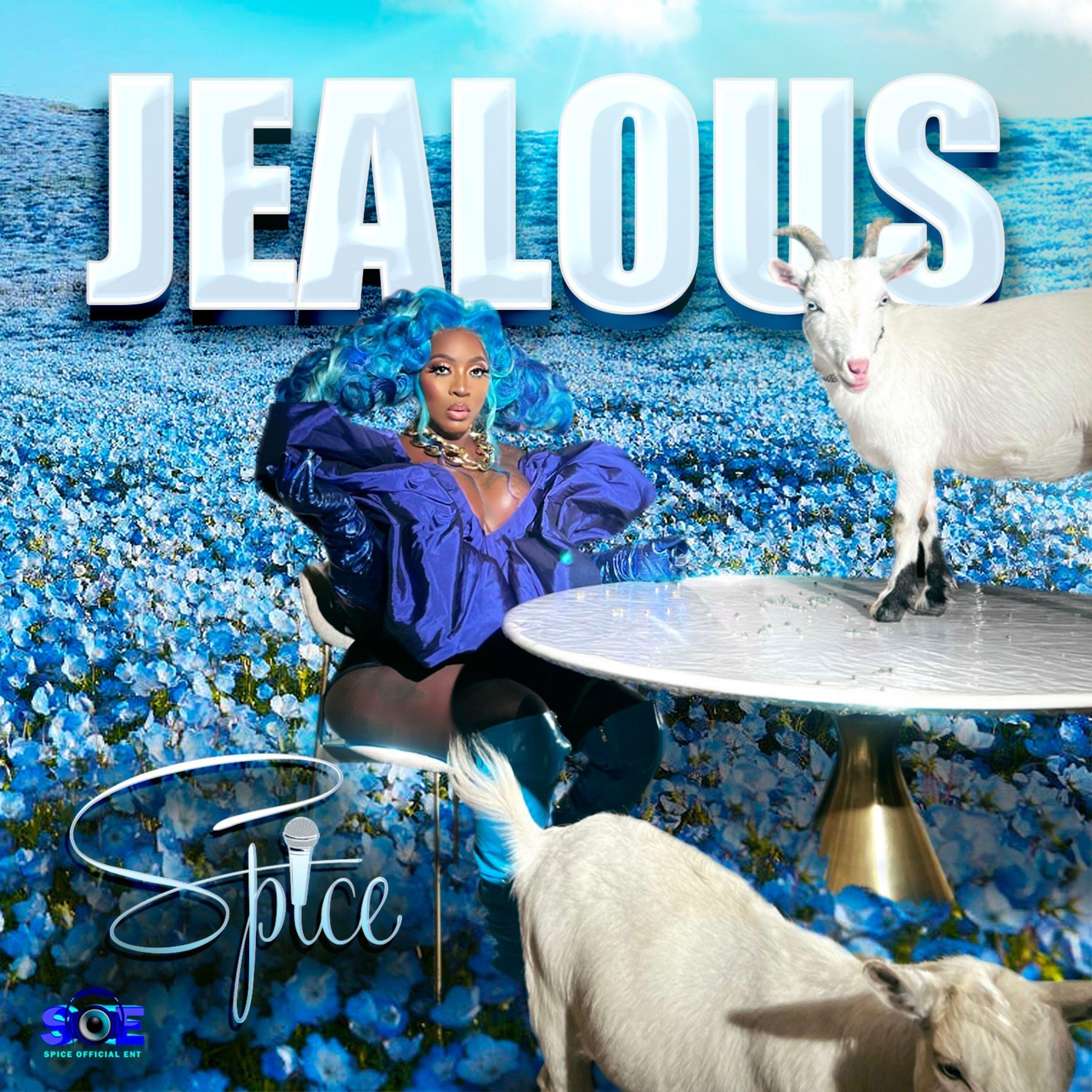Постер альбома Jealous