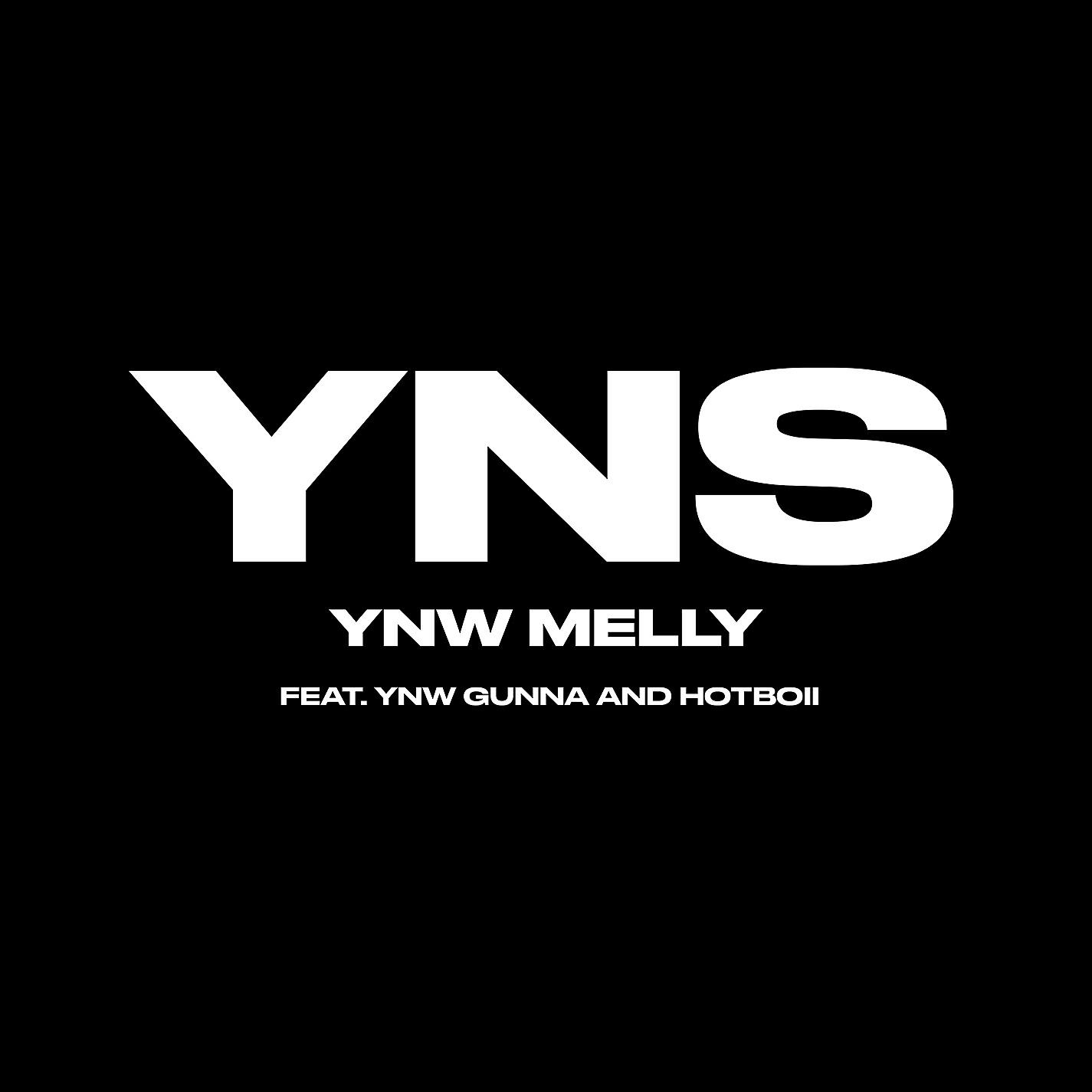 Релиз Yung N**** Sh*t (feat. YNW Gunna & Hotboii)