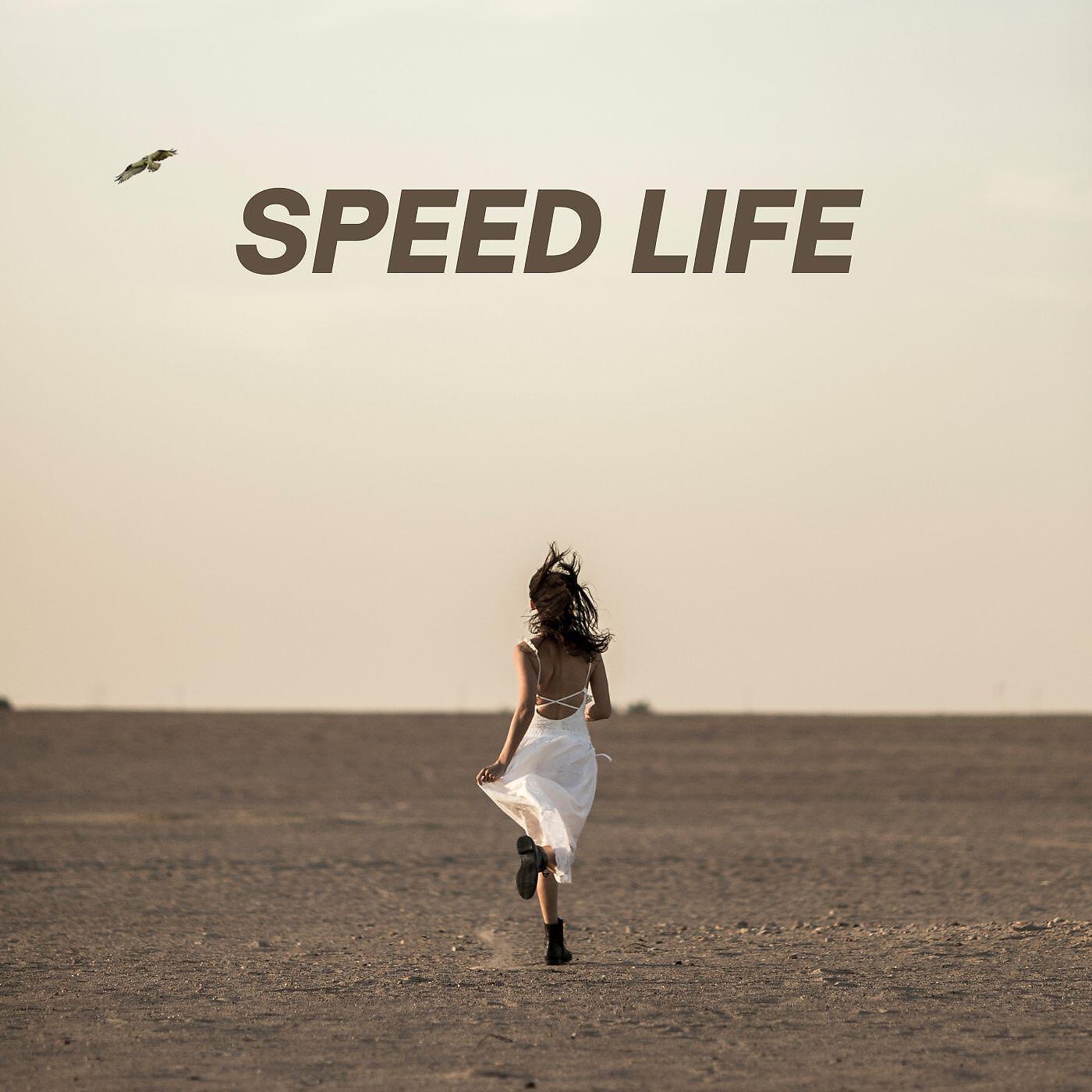 Релиз Speed Life