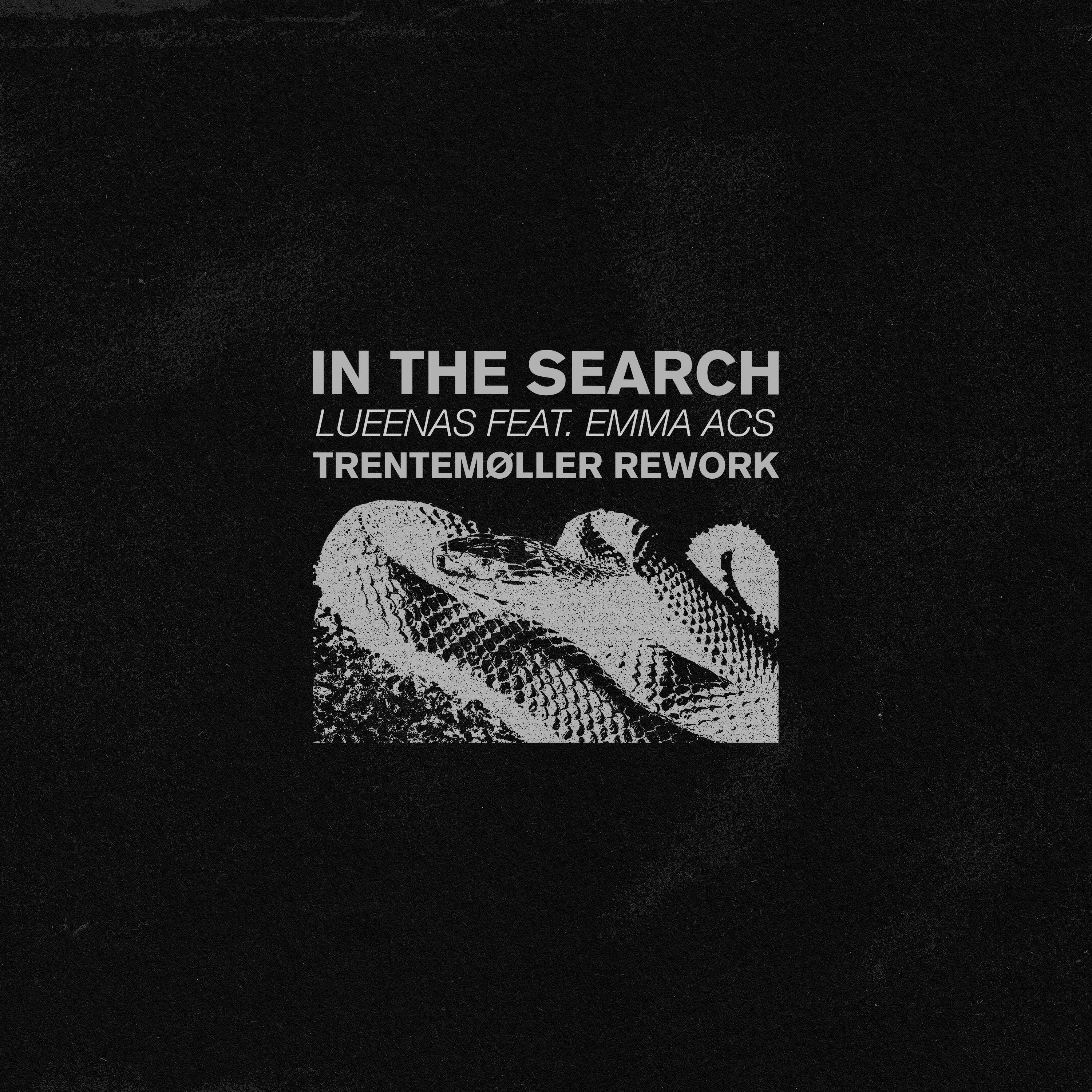 Релиз In the Search