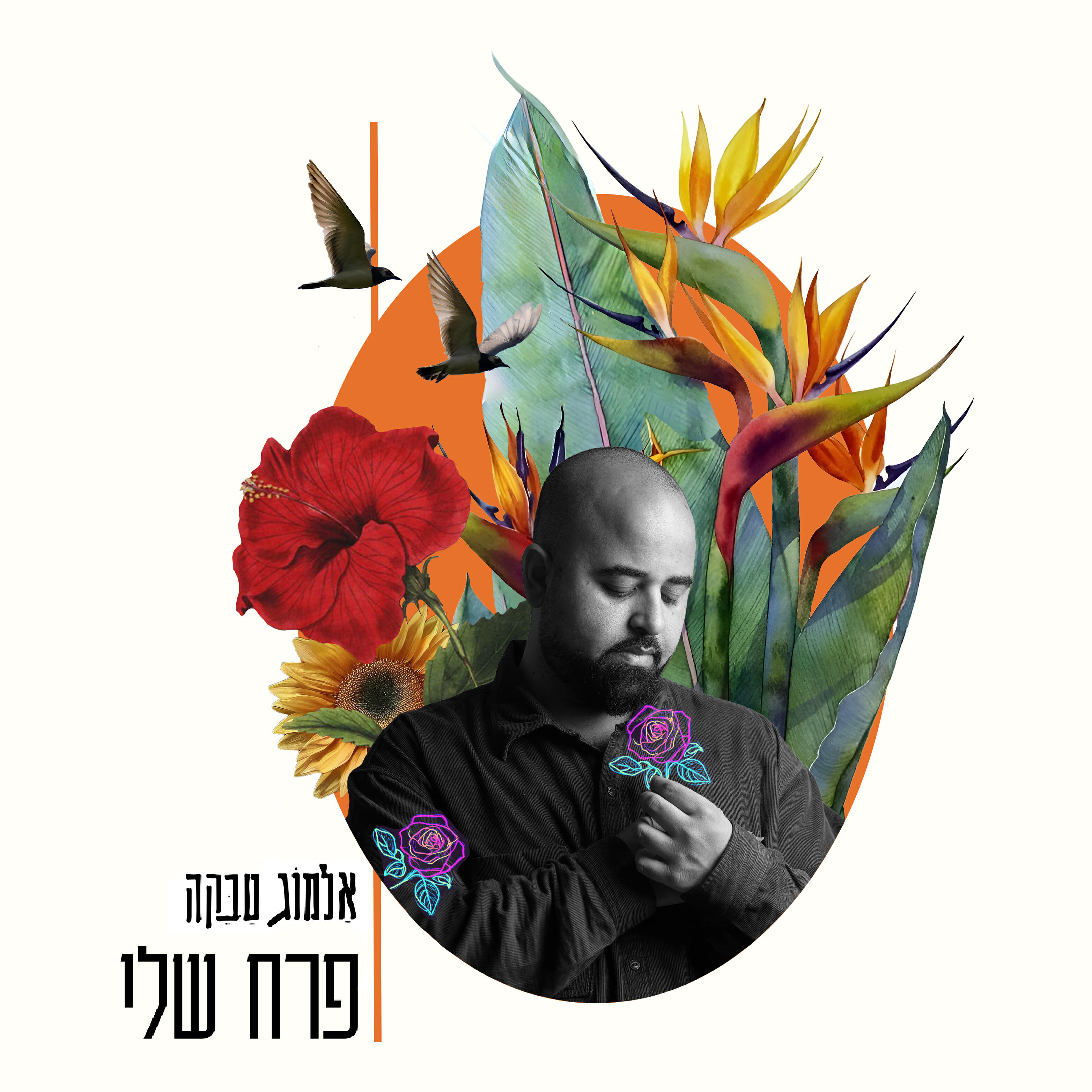 Релиз פרח שלי