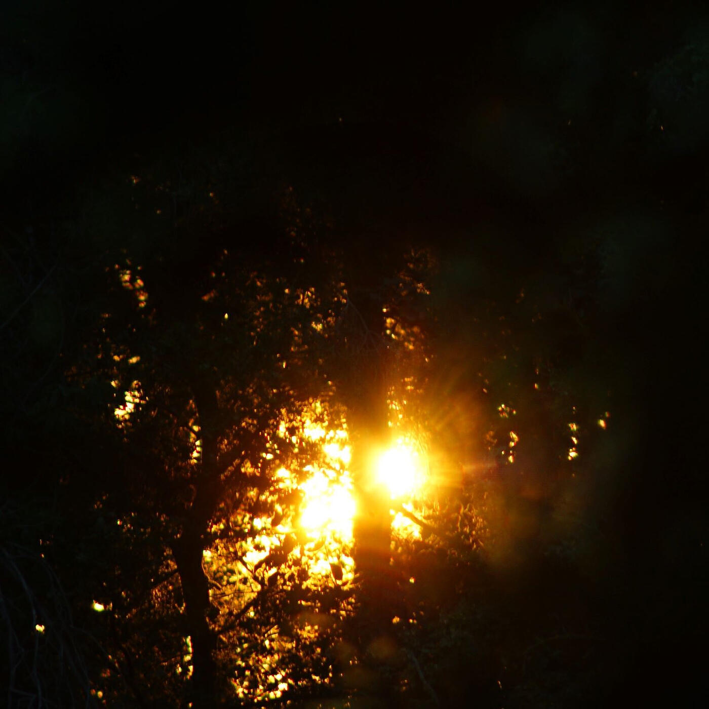 Релиз Absprung
