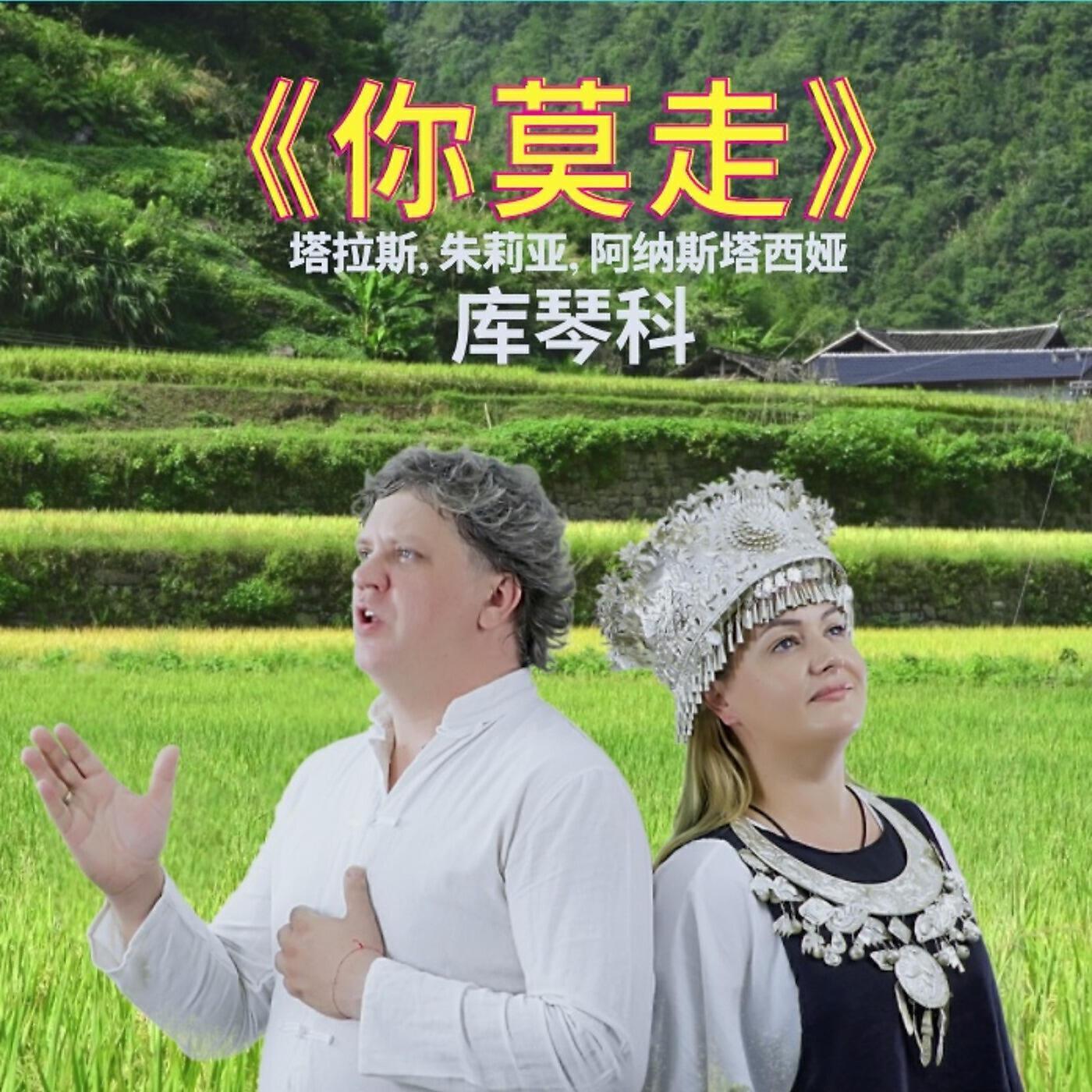 舒维作