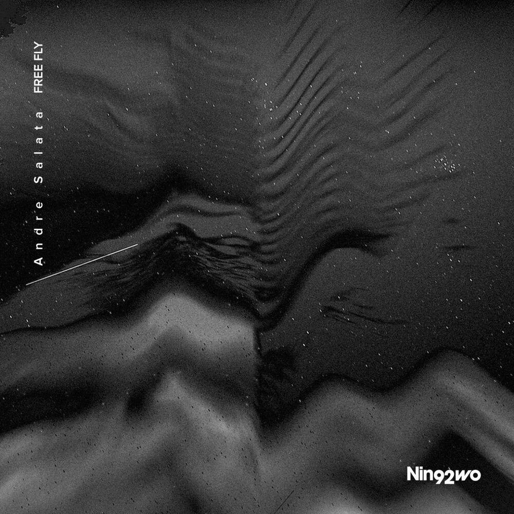 Релиз Free Fly
