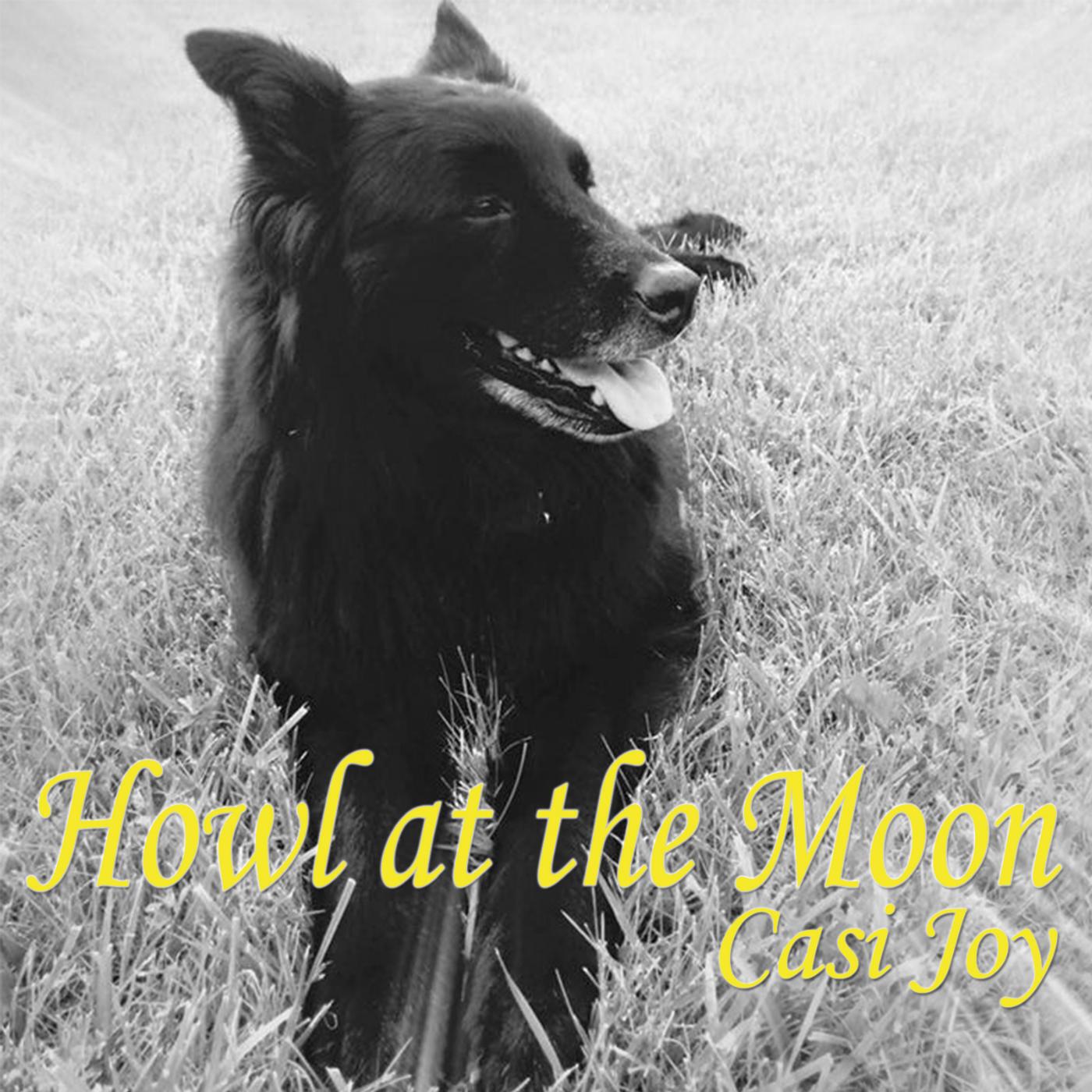 Релиз Howl at the Moon (For Ashbi)