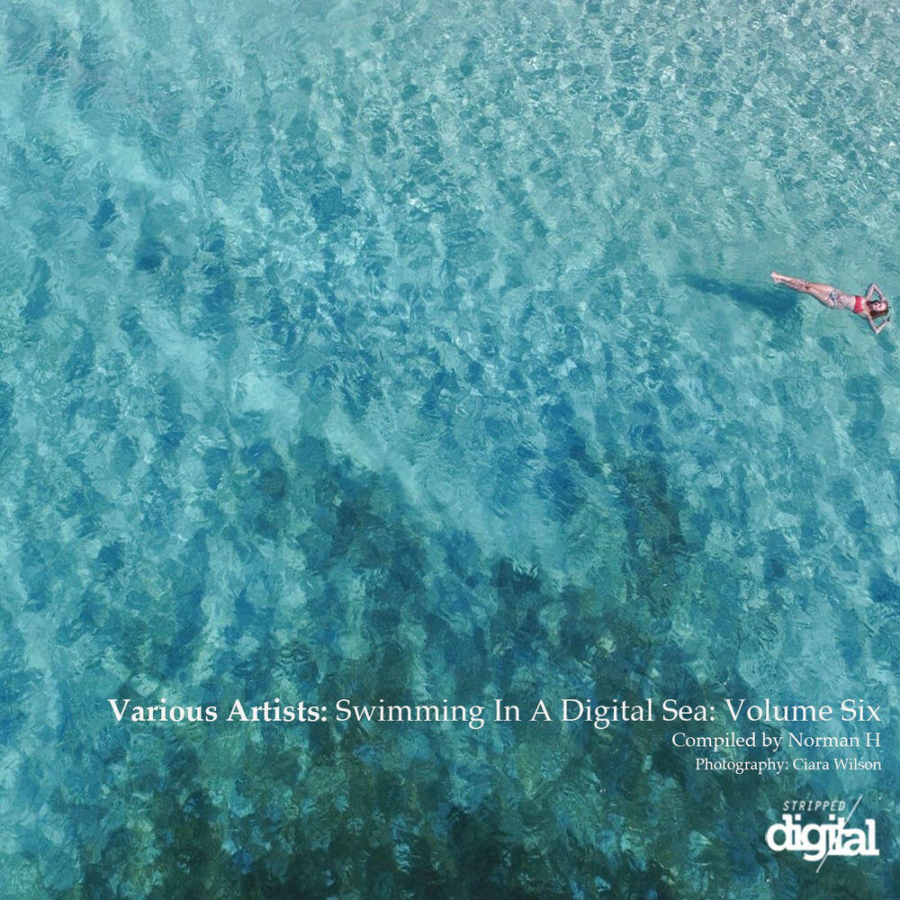 Релиз Swimming in a Digital Sea: Volume Six - Compiled by Norman H