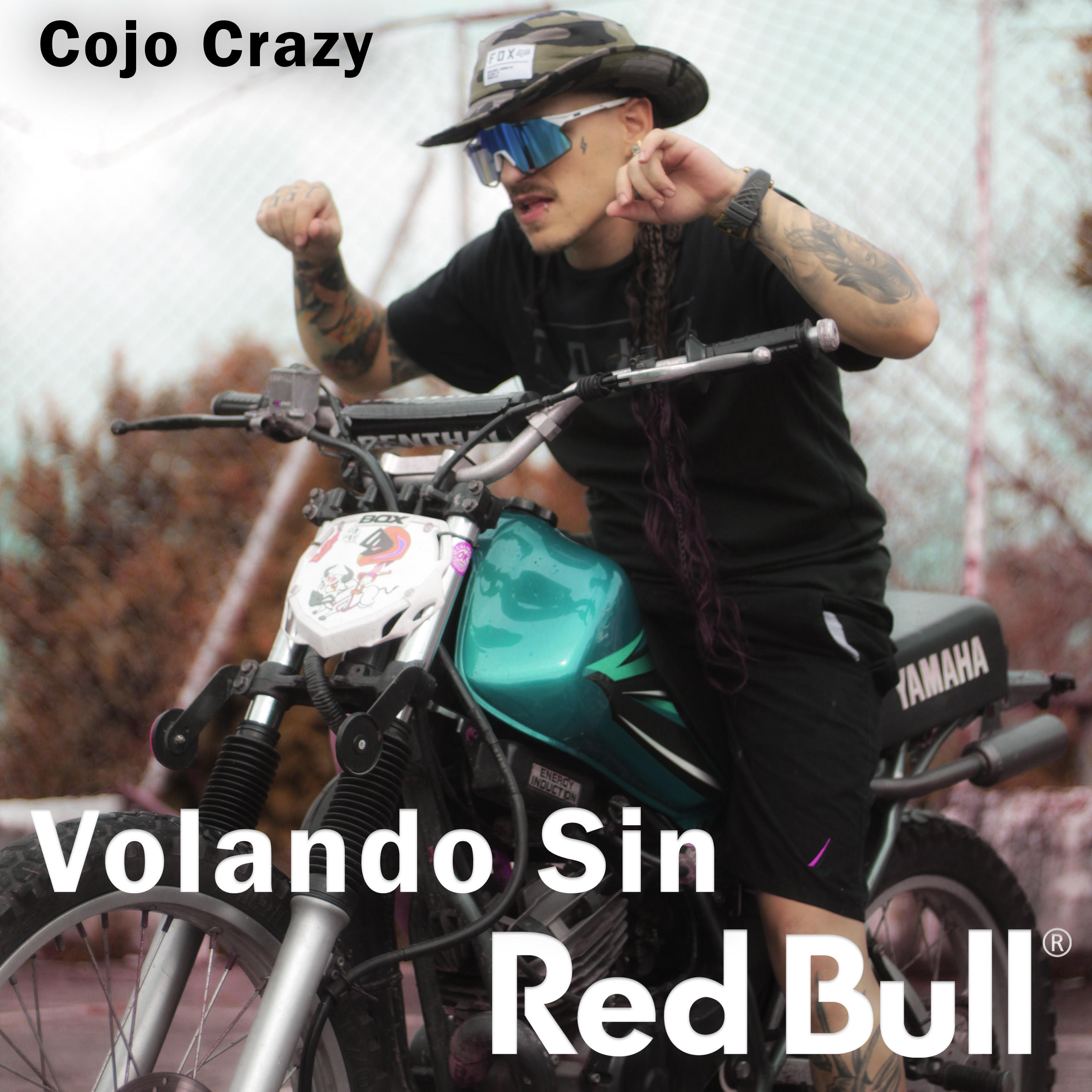 Релиз Volando Sin RedBull