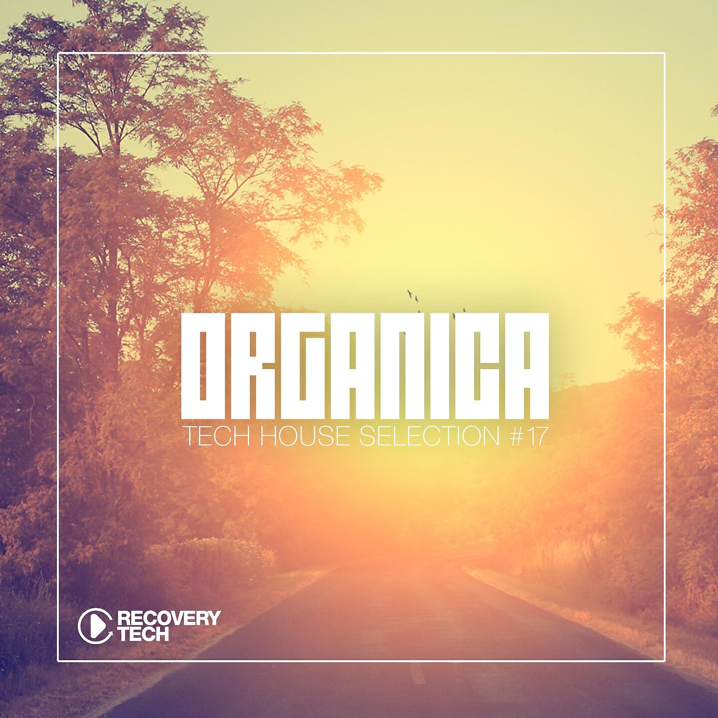 Релиз Organica #17