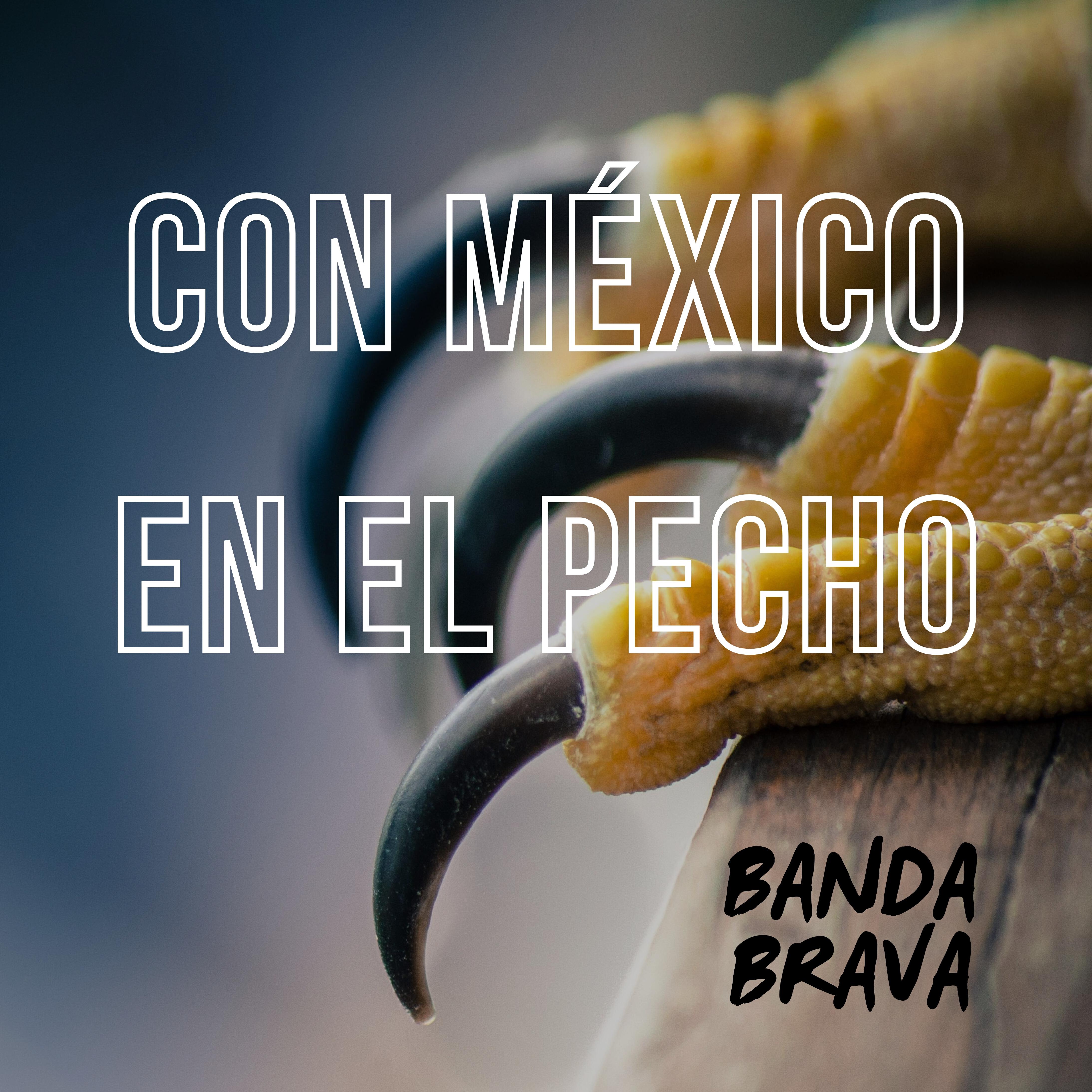 Banda Brava