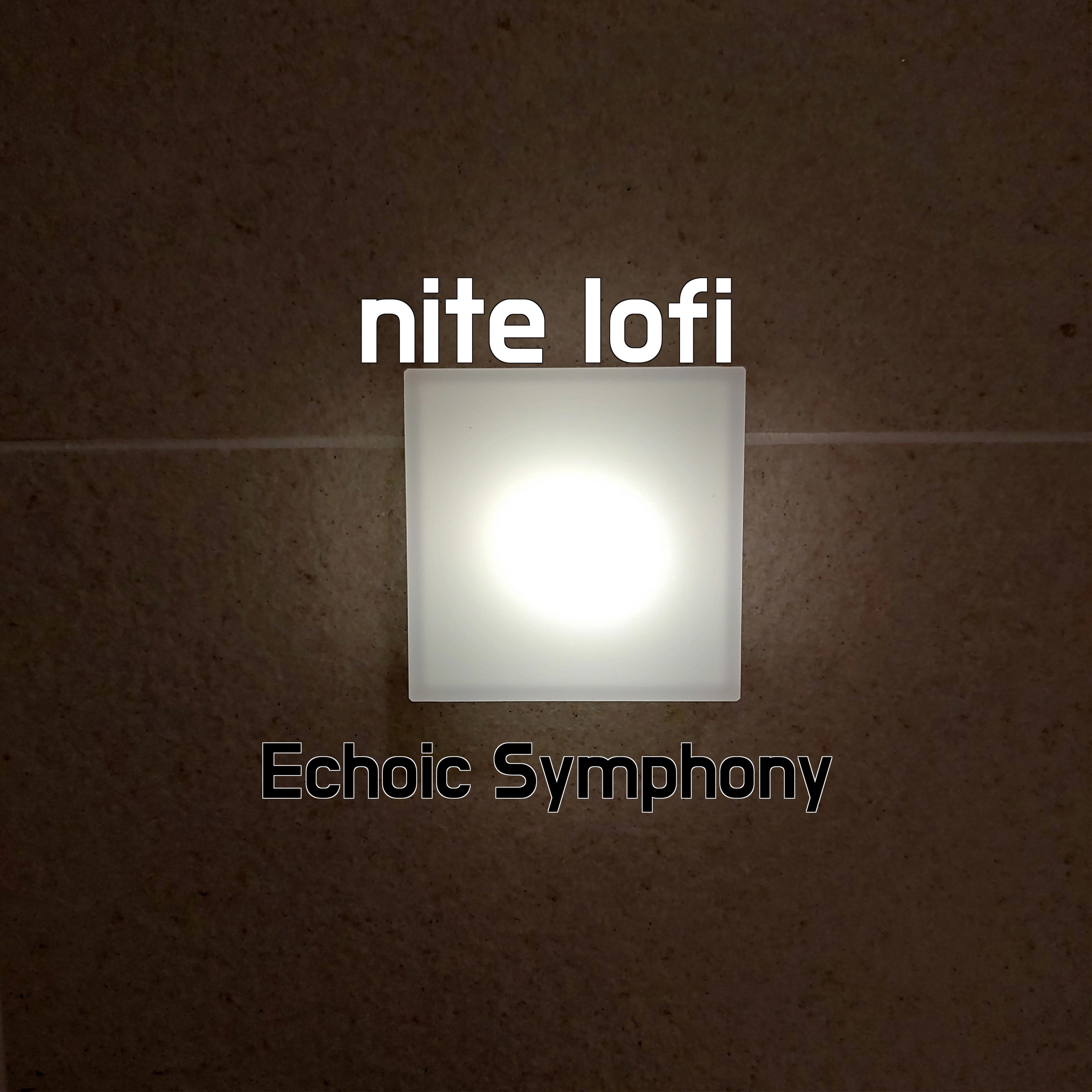 Релиз nite lofi