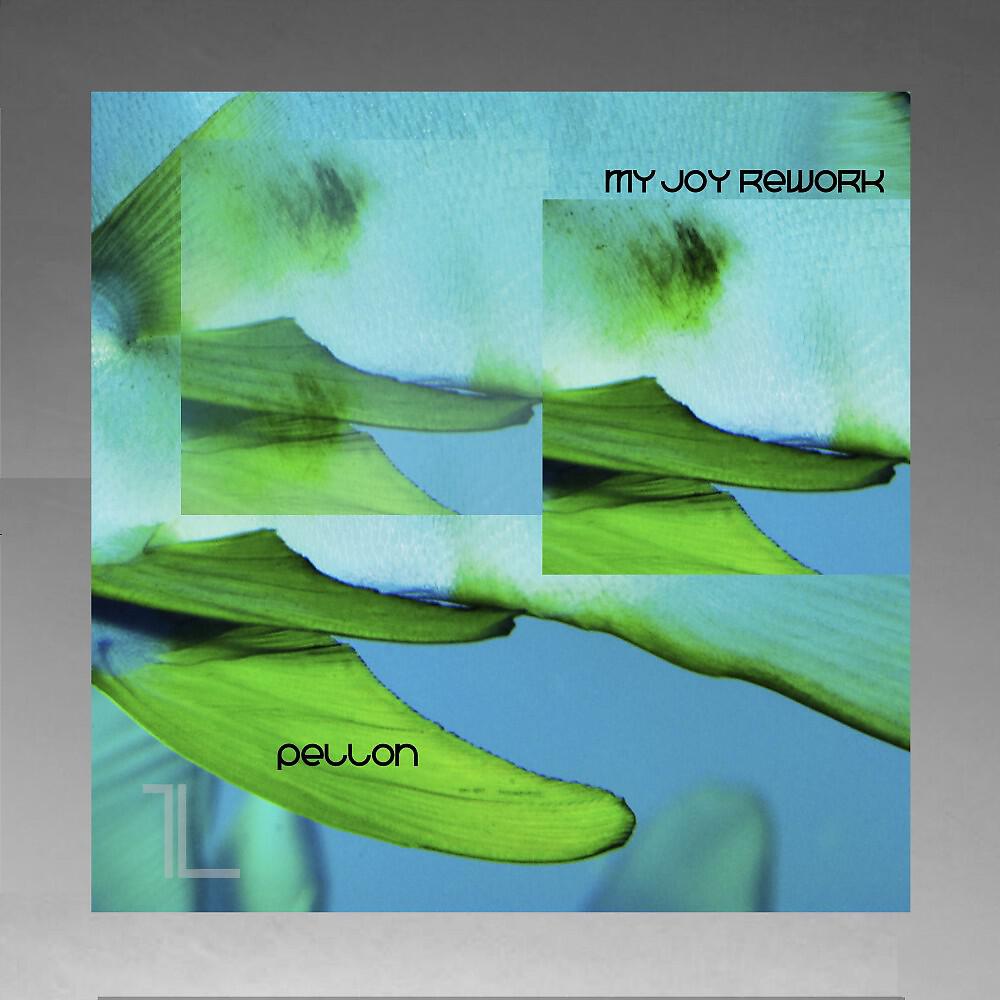 Релиз My Joy Rework