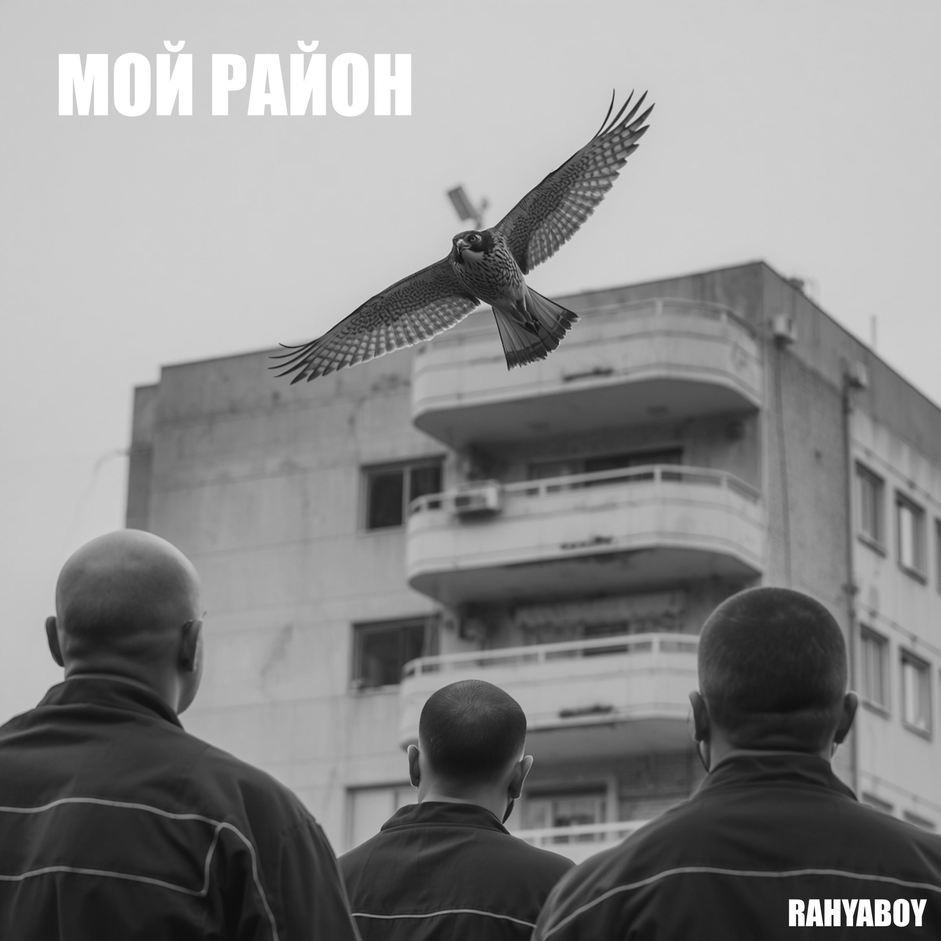 Релиз Мой район