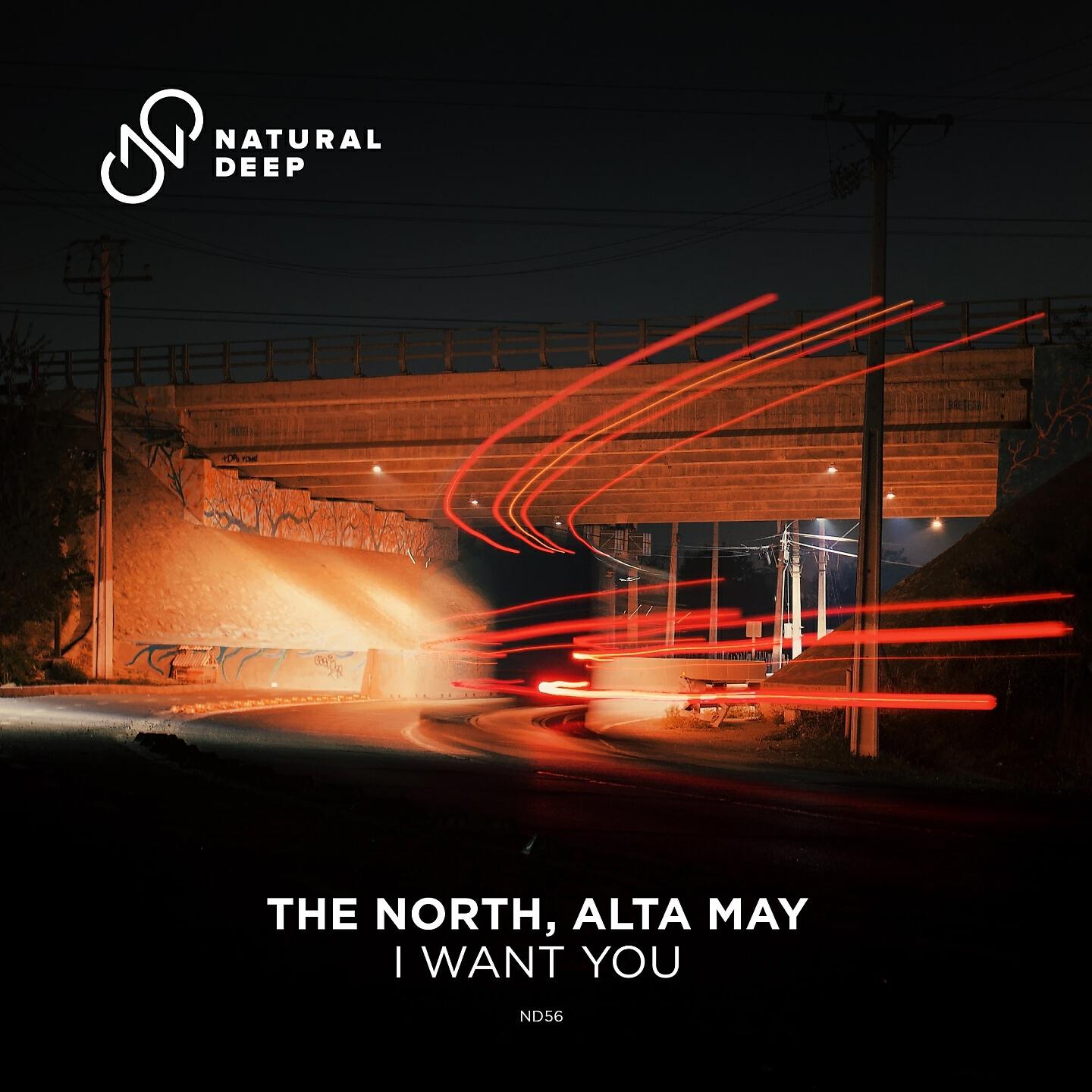 Релиз I Want You