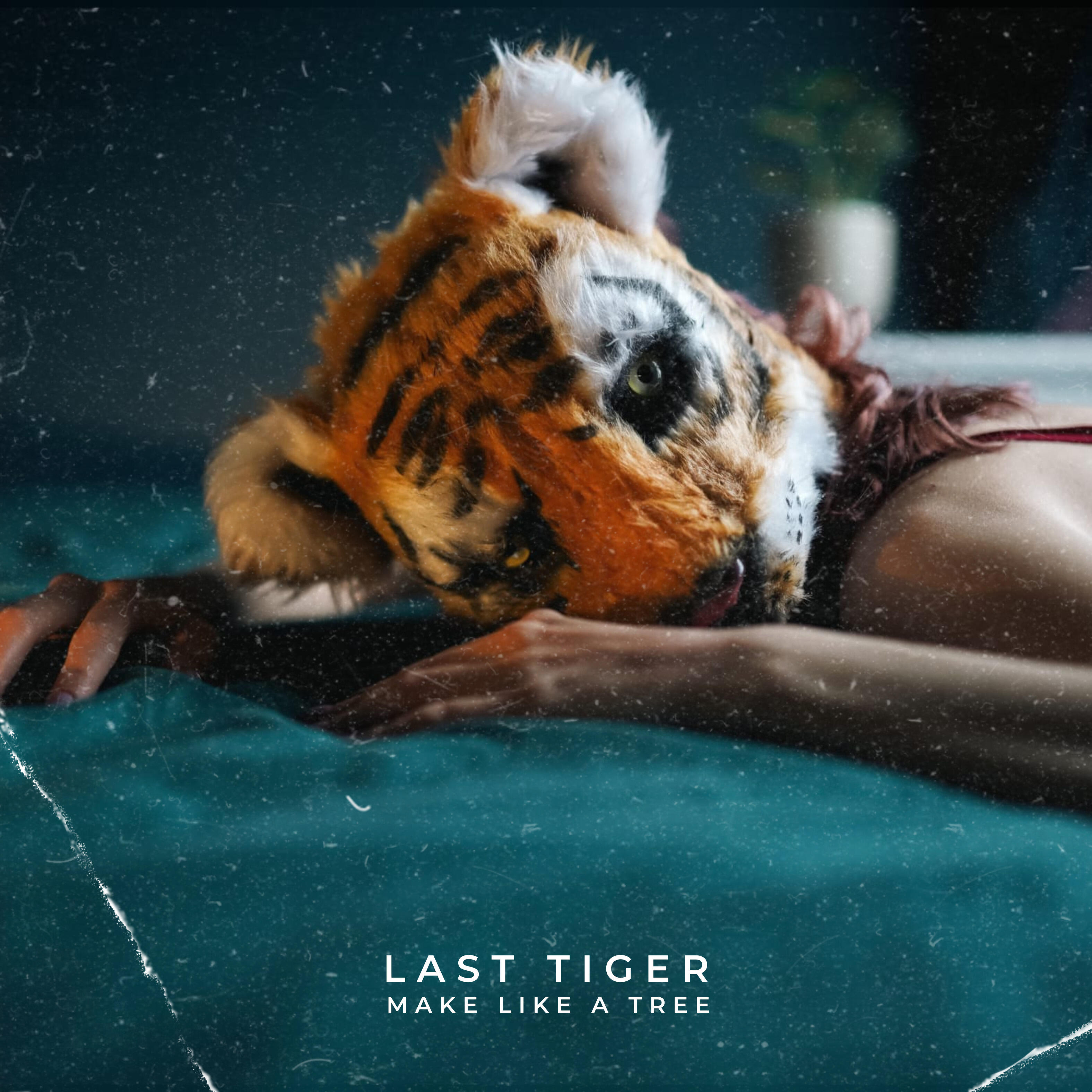 Релиз Last Tiger