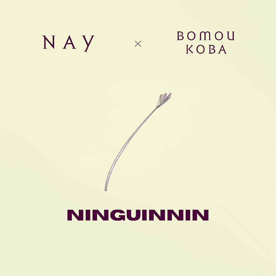 Релиз NINGUINNIN