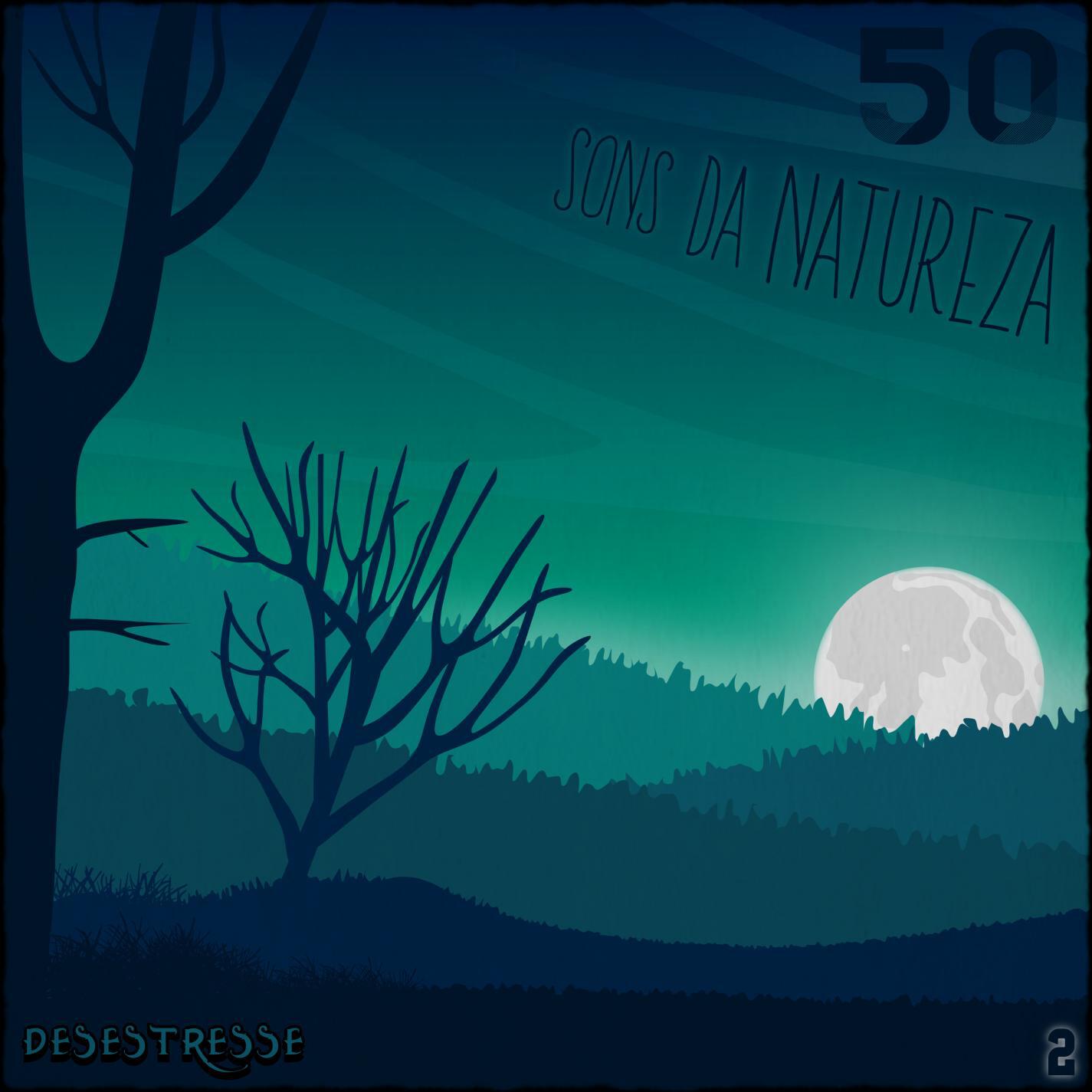 Релиз 50 Sons da Natureza, Vol. 2