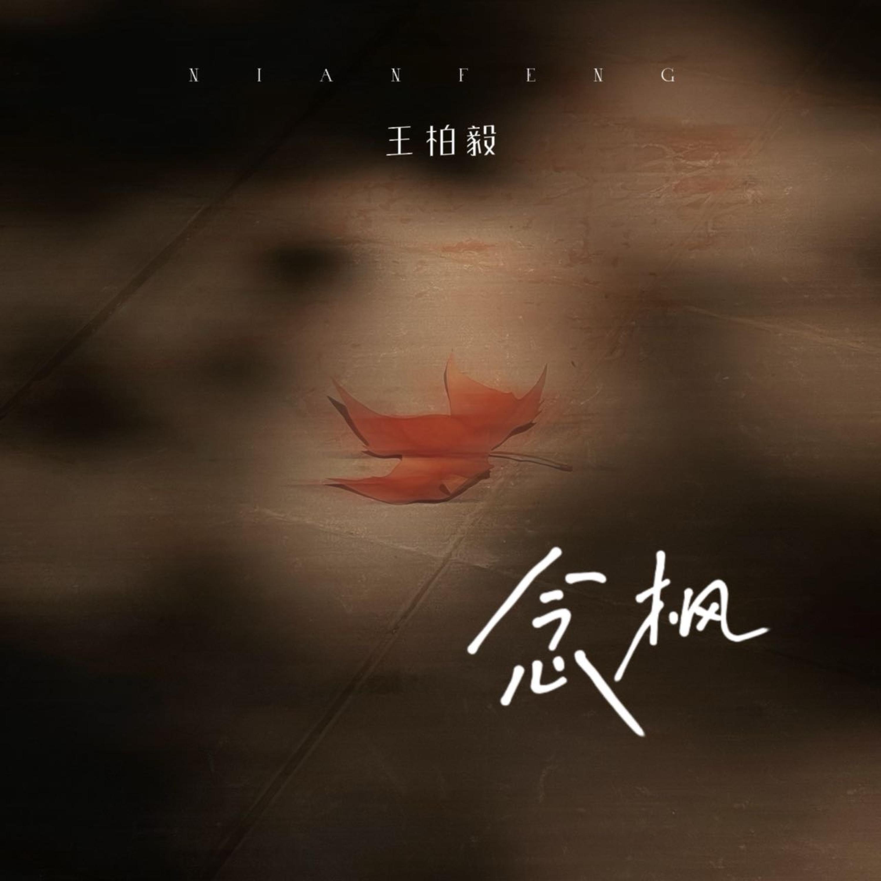 王柏毅