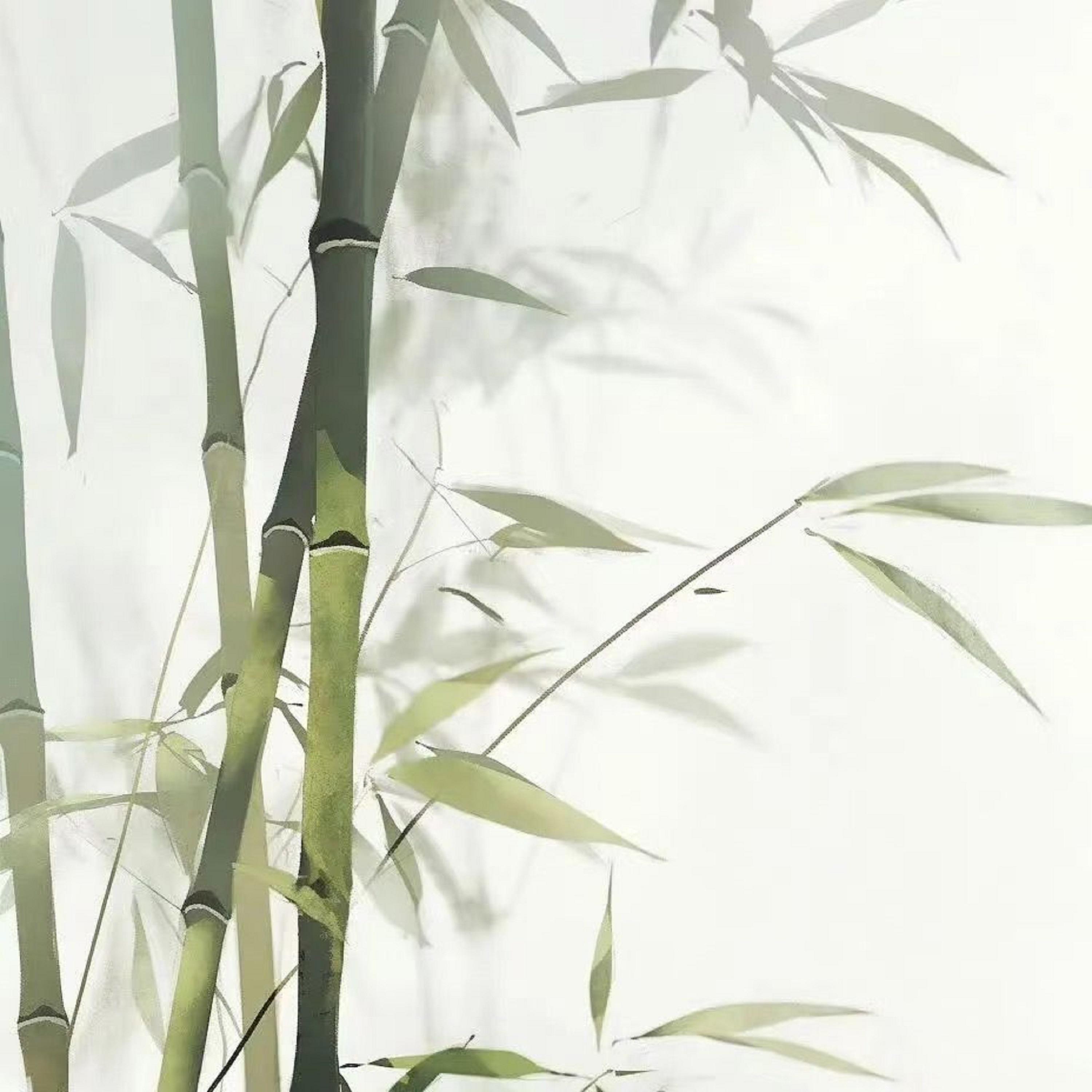 张鲜
