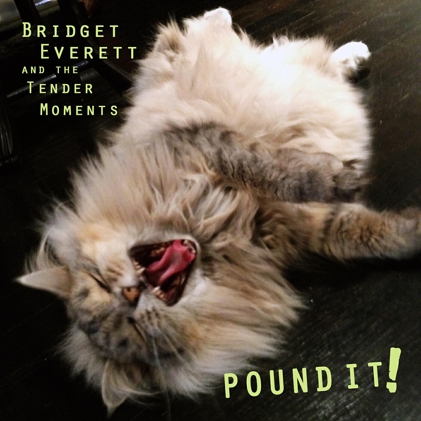 Релиз Pound It
