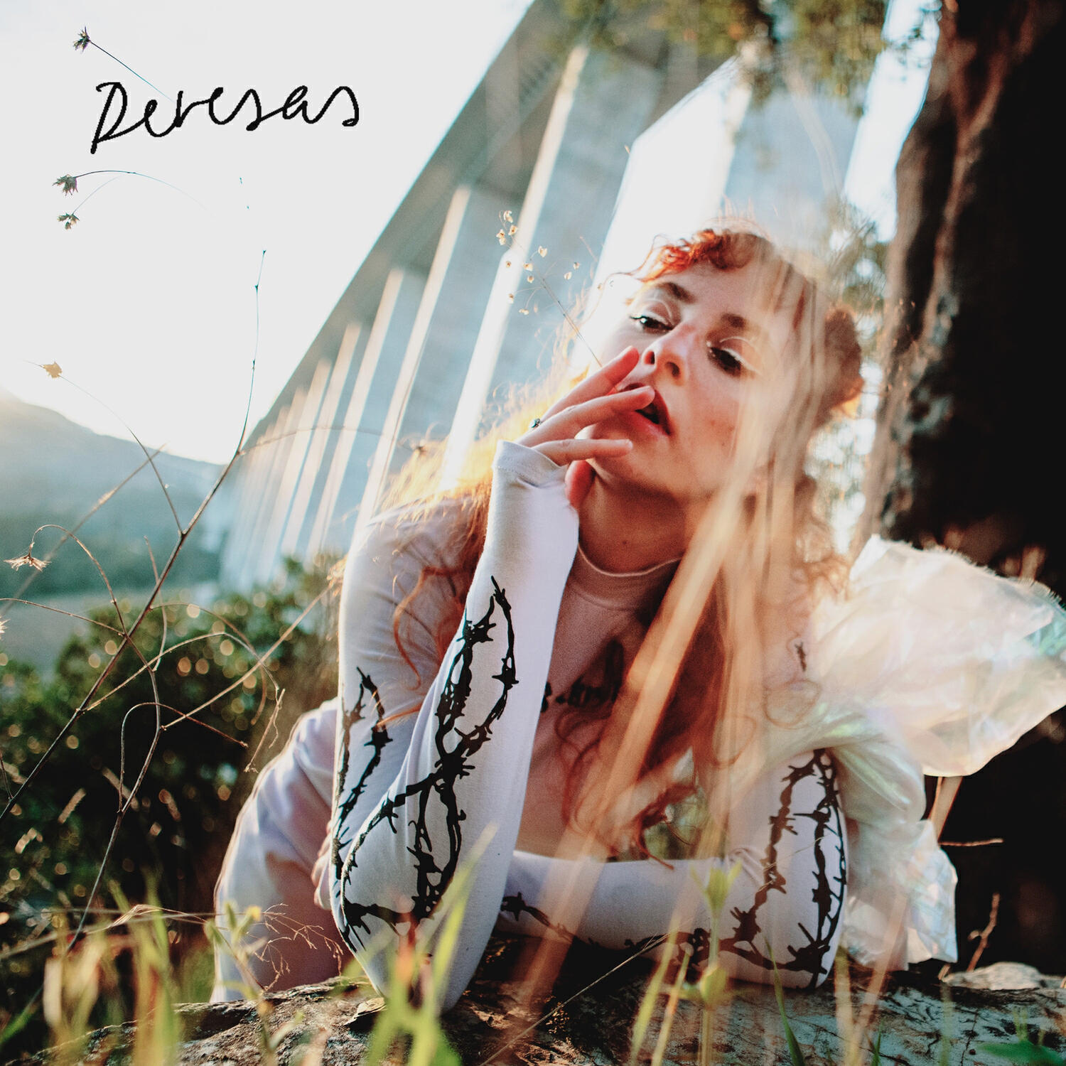 Релиз Devesas