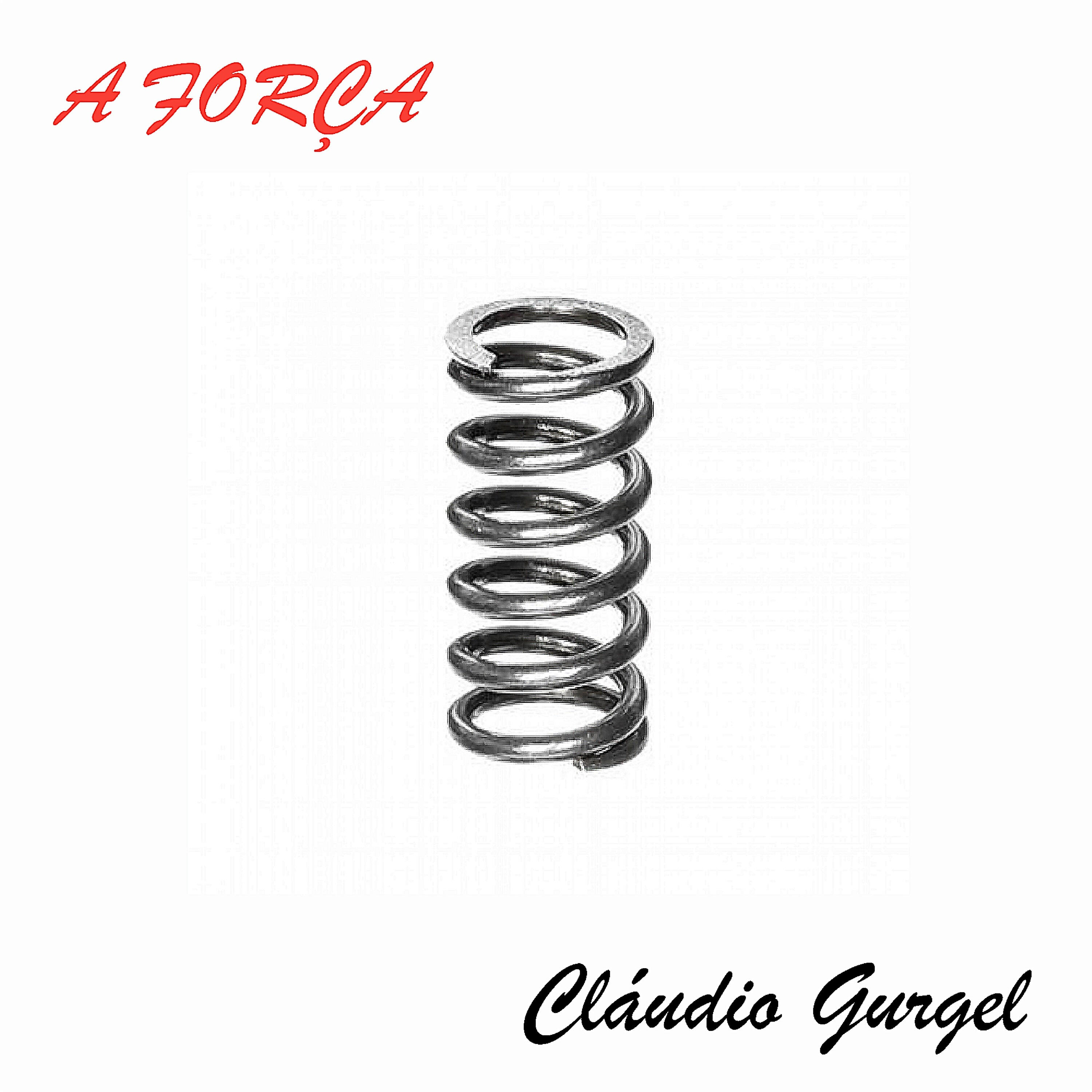 Claudio Gurgel