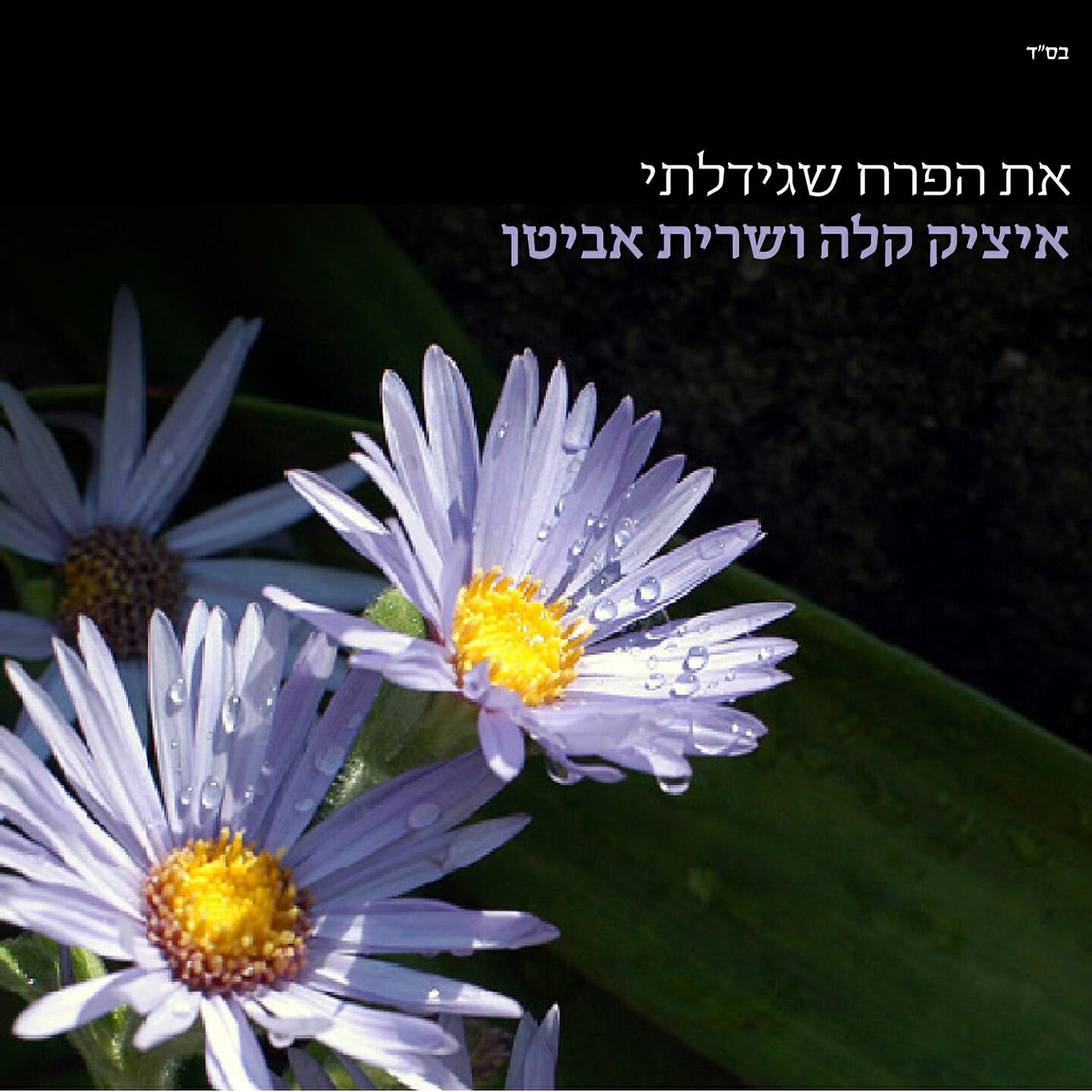 Релиз At Haperach Shegidalti