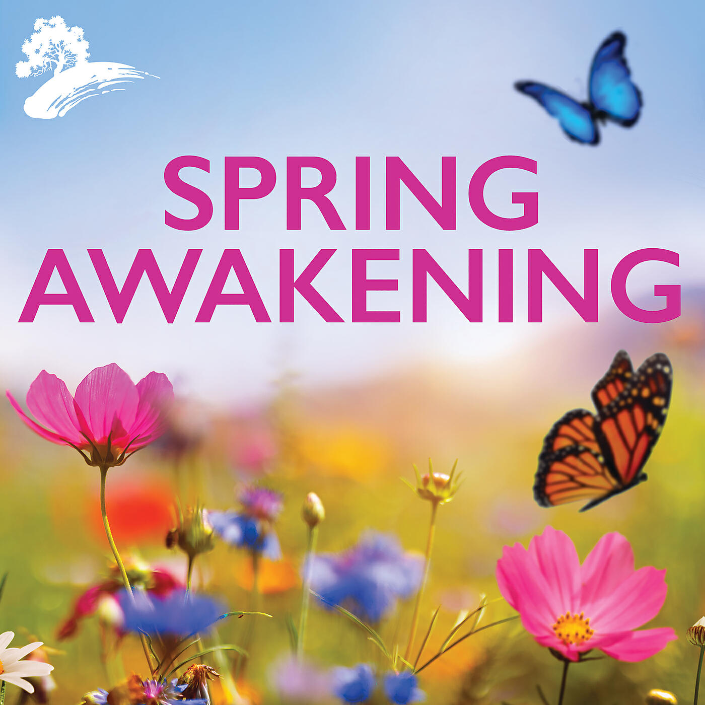Релиз Spring Awakening